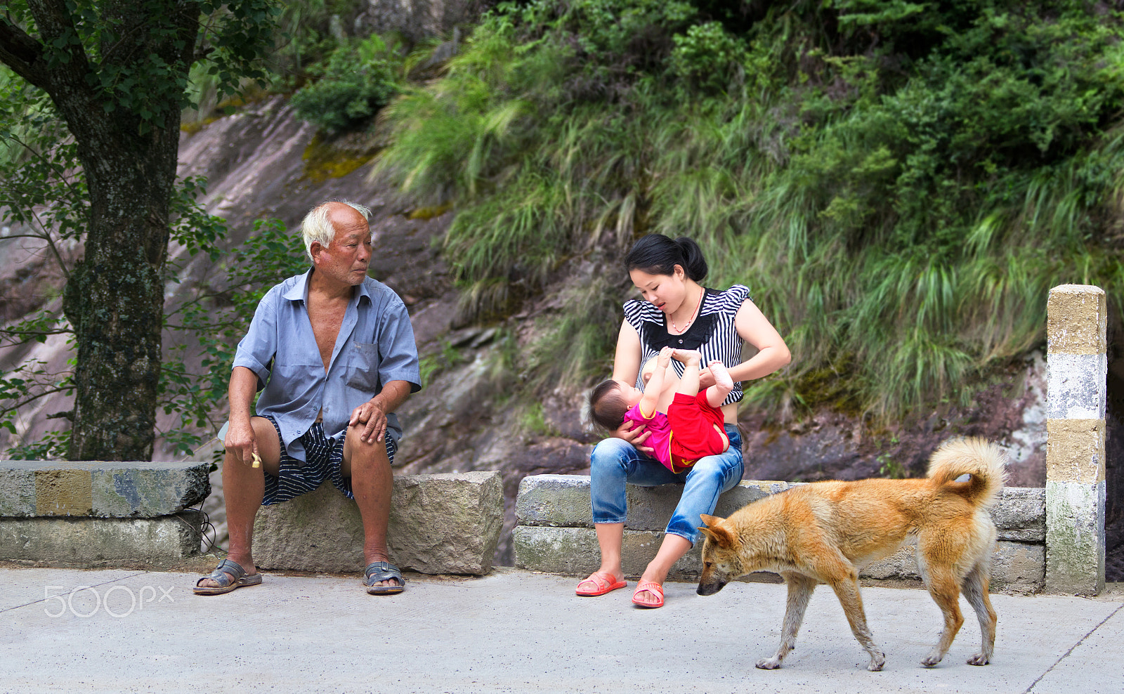 Canon EF 28-300mm F3.5-5.6L IS USM sample photo. 天伦天性 photography