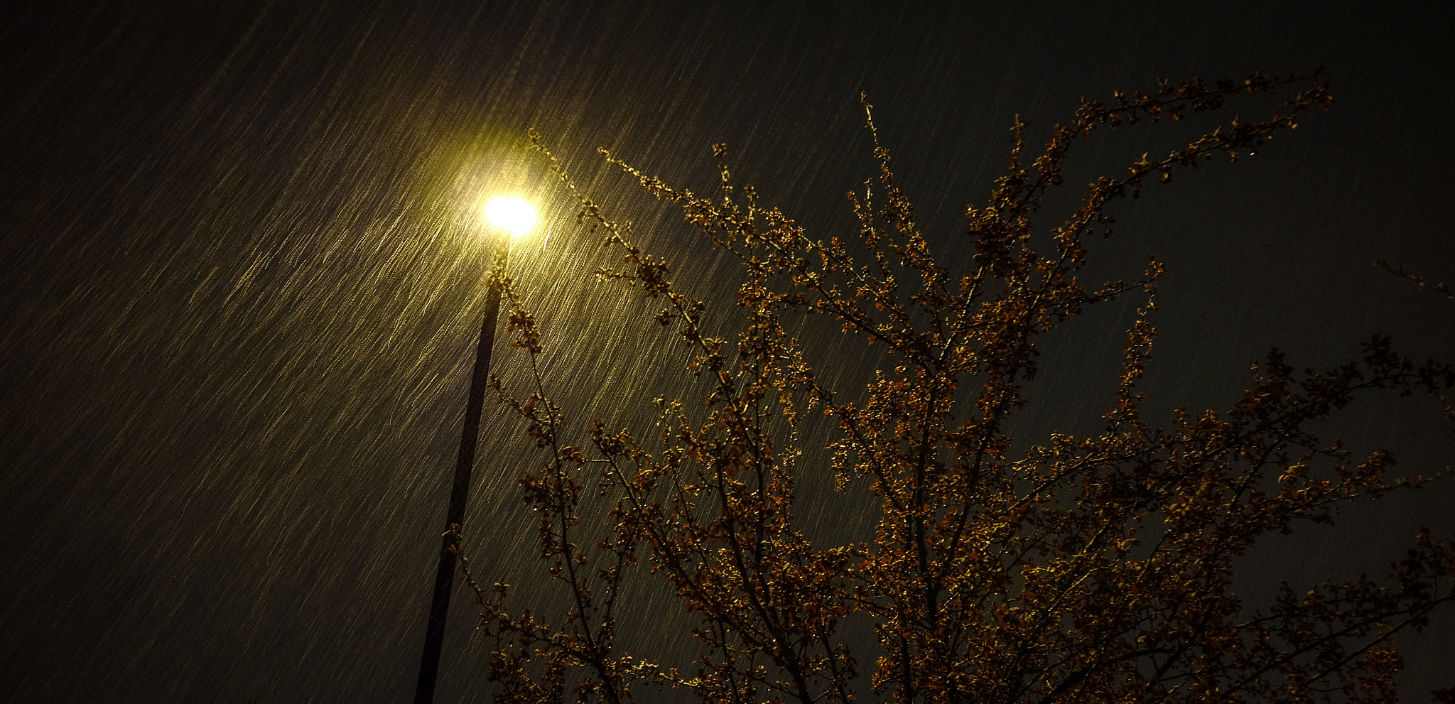 Fujifilm X-A1 + Fujifilm XF 14mm F2.8 R sample photo. Streetlight in snow photography