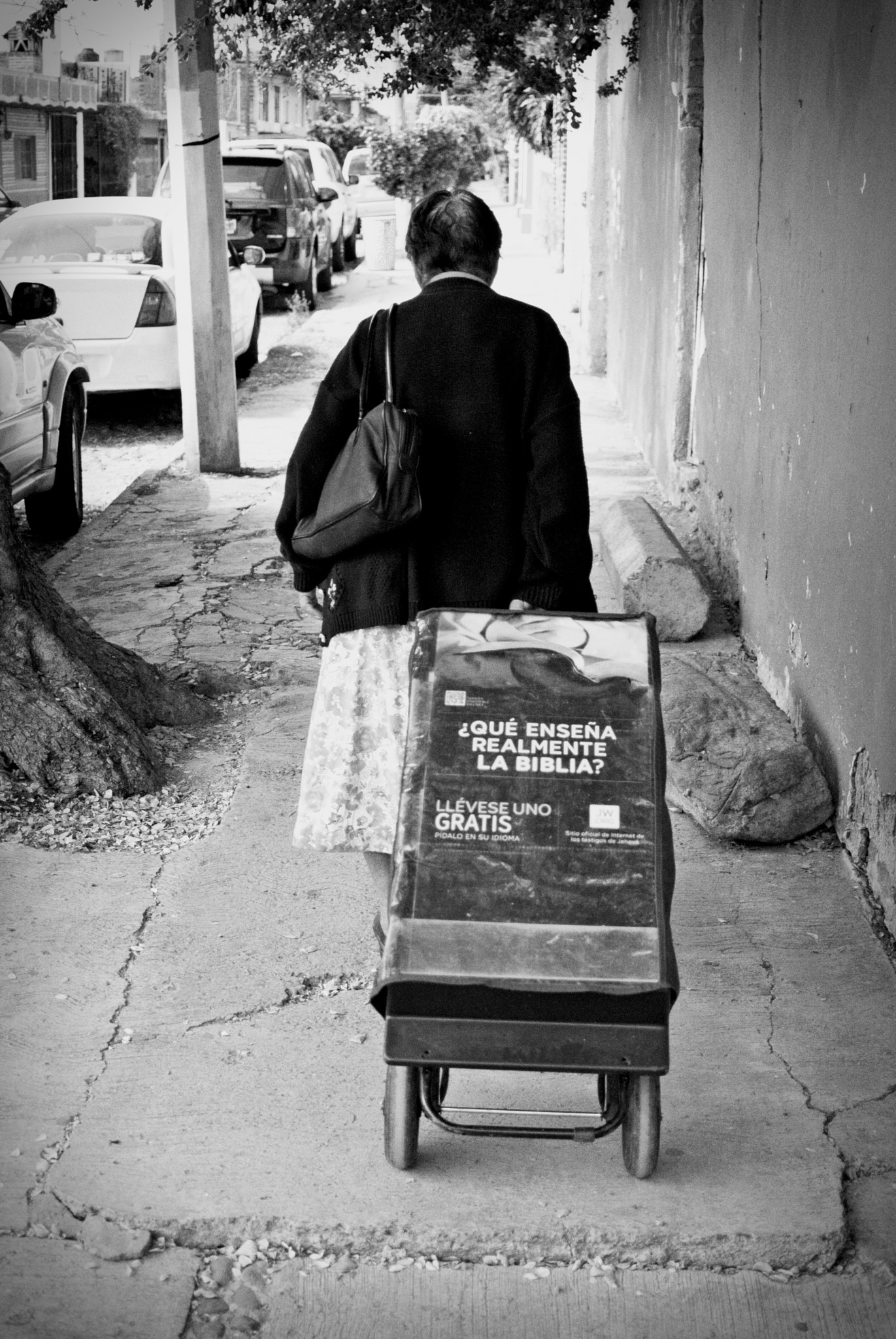 Nikon 1 V1 + Nikon 1 Nikkor 18.5mm F1.8 sample photo. Evangelist, ajijic, mexico photography