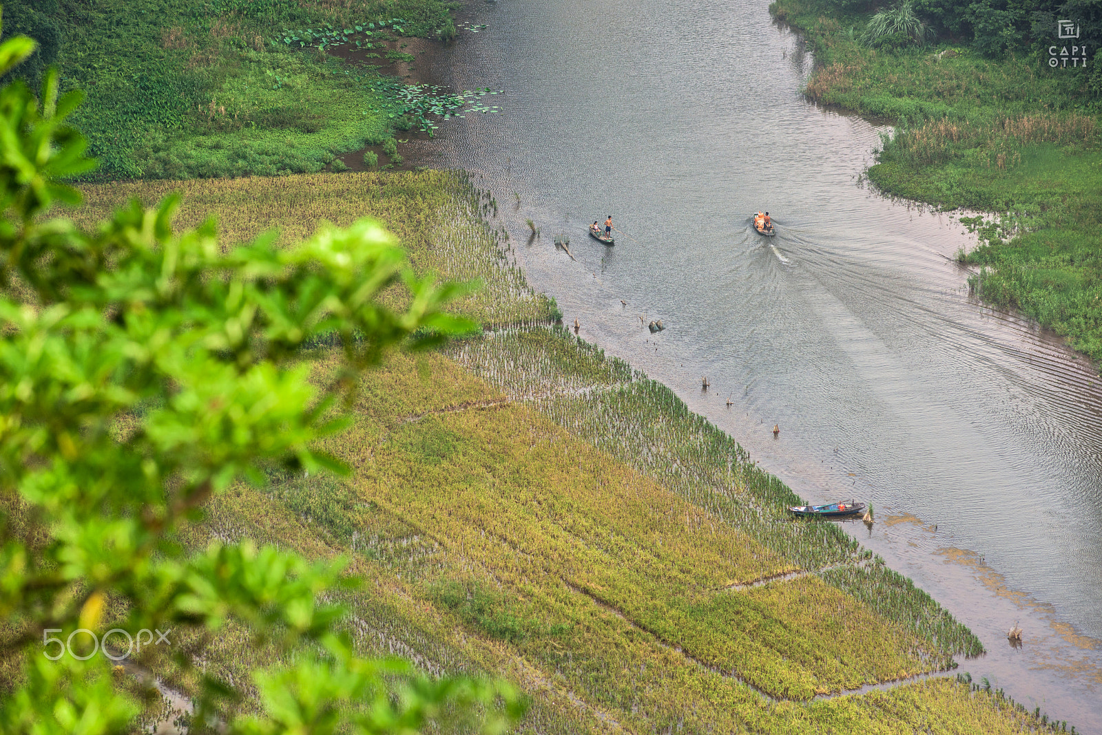 Nikon D810 + AF Nikkor 180mm f/2.8 IF-ED sample photo. Ninh binh photography