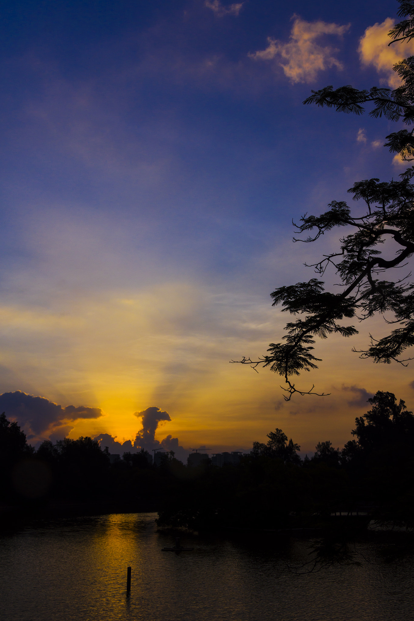 Sony SLT-A55 (SLT-A55V) sample photo. Sunrise photography