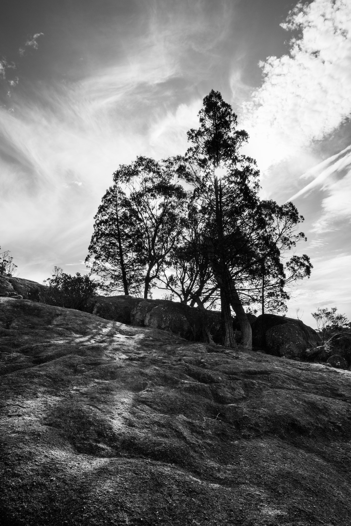 Sigma 8-16mm F4.5-5.6 DC HSM sample photo. Bald rock creek photography
