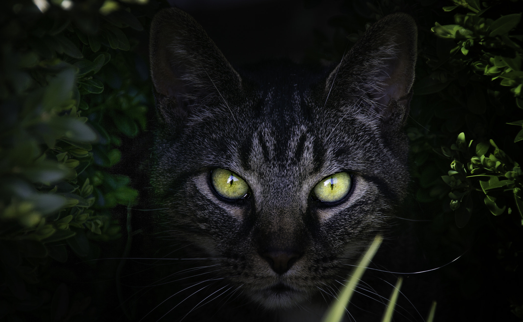 Tamron 18-270mm F3.5-6.3 Di II PZD sample photo. Watching - waiting photography