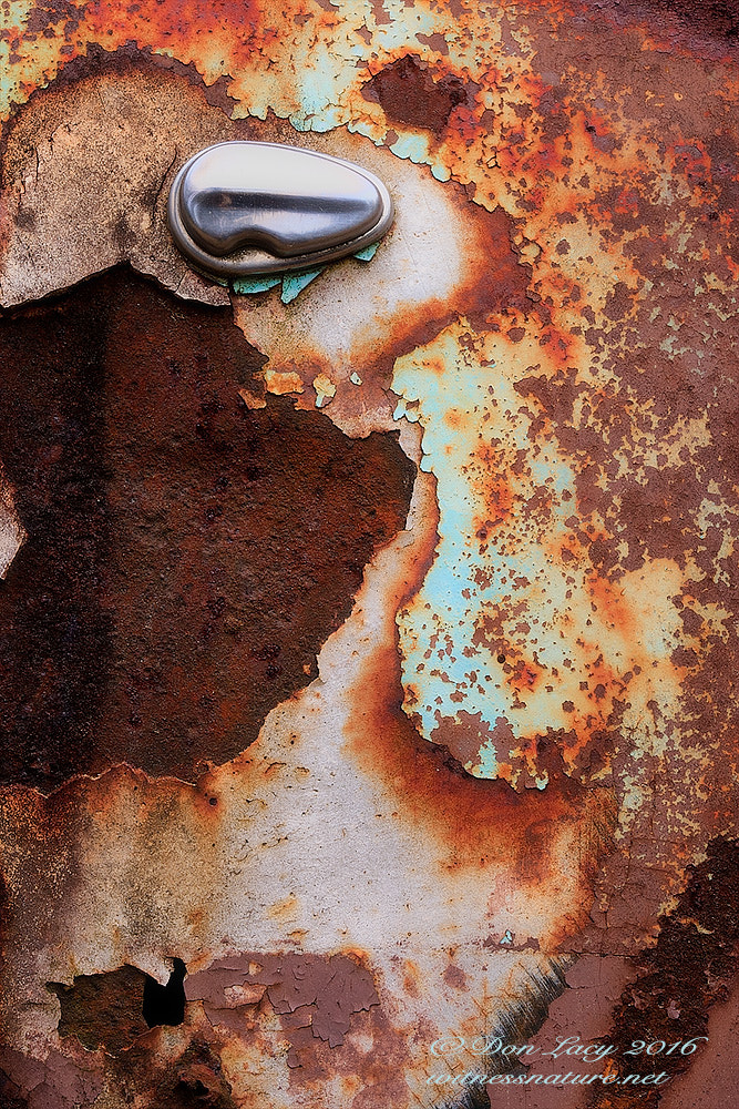 Canon EOS-1D Mark III sample photo. Patina photography