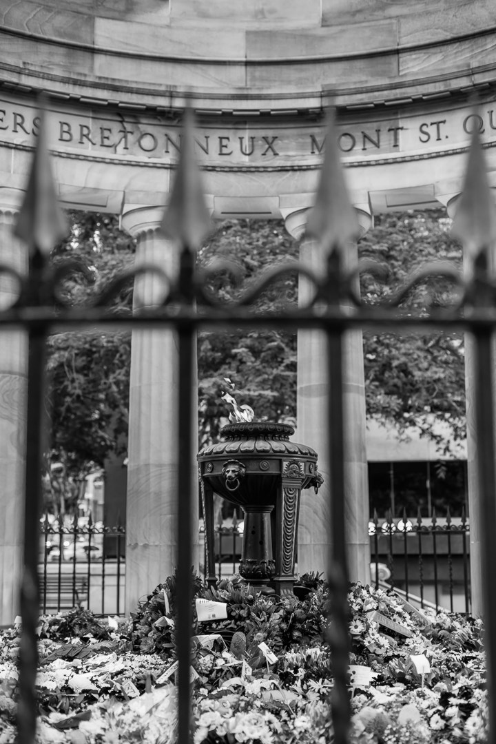 Canon EOS 5DS R + Canon EF 50mm F1.4 USM sample photo. Shrine of remembrance fenced in b&w photography