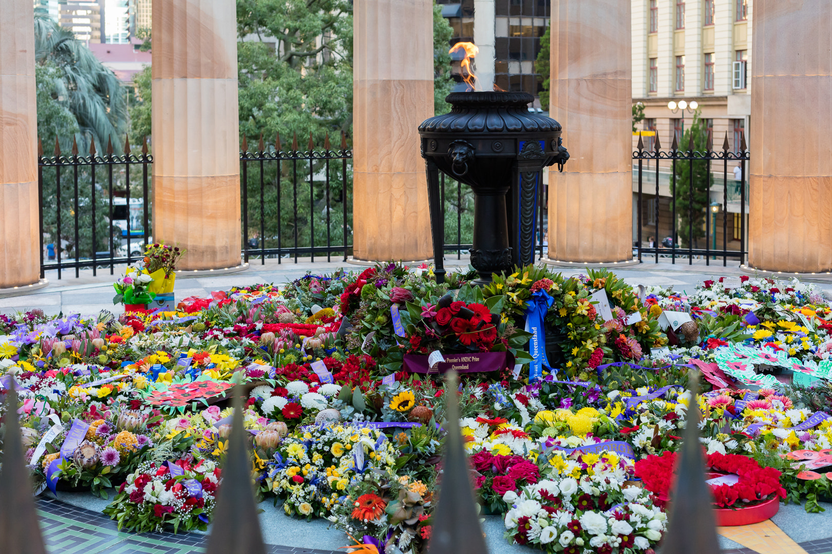 Canon EOS 5DS R + Canon EF 50mm F1.4 USM sample photo. Eternal flame flowers fence photography