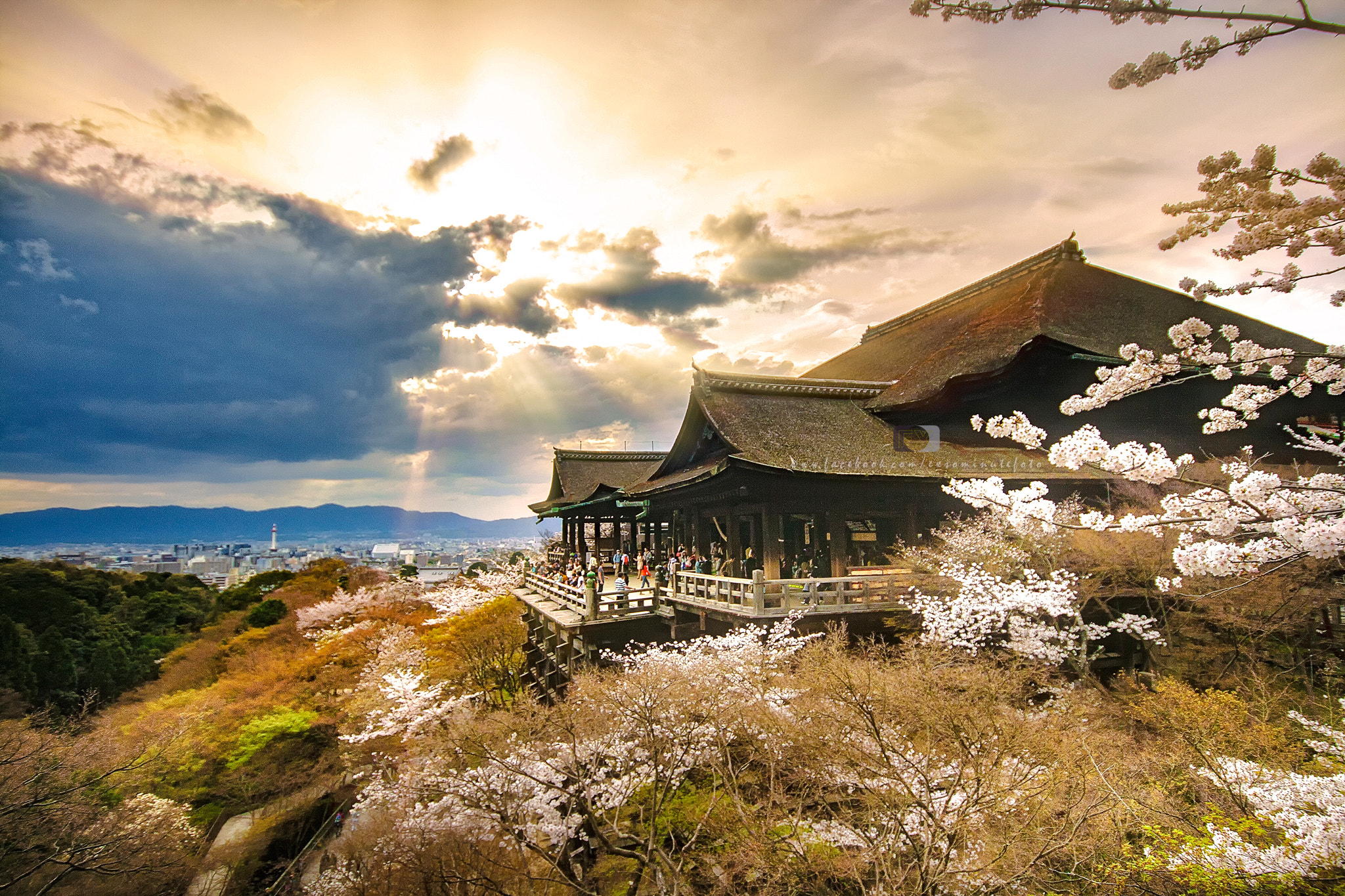 Canon EOS 400D (EOS Digital Rebel XTi / EOS Kiss Digital X) sample photo. Ray of light 清水寺 - kiyomizu-dera temple photography