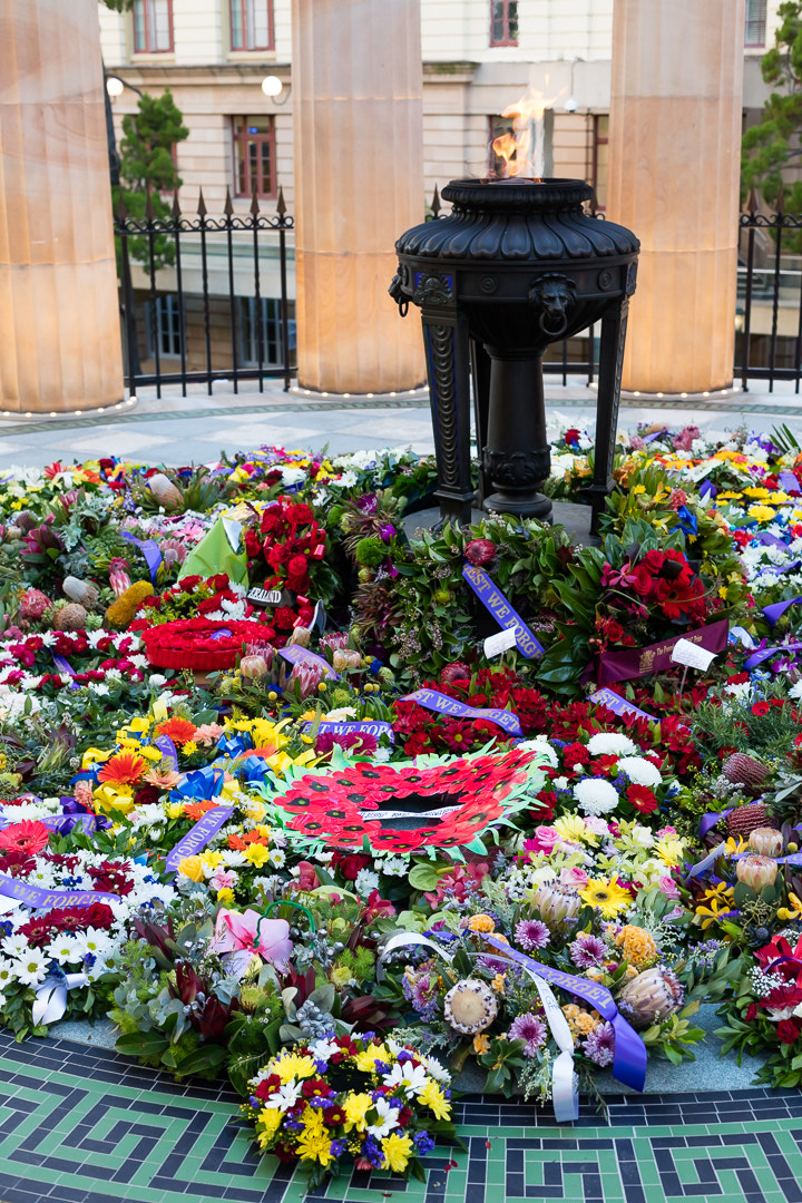 Canon EOS 5DS R + Canon EF 50mm F1.4 USM sample photo. Eternal flame flowers vertical photography