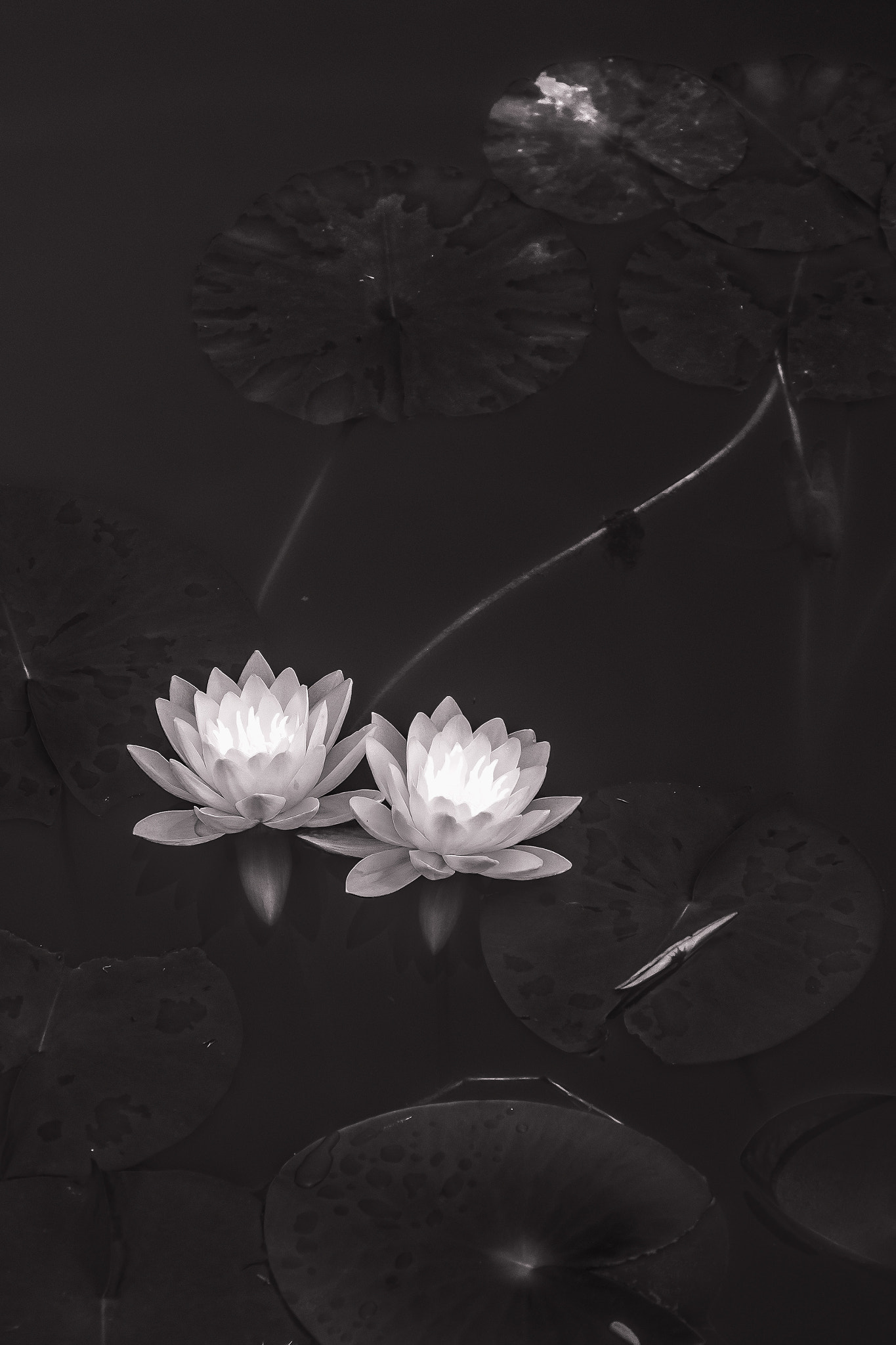 Olympus OM-D E-M5 sample photo