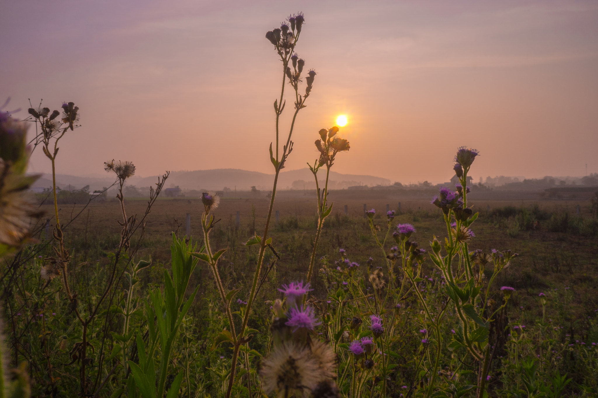 Sony a7 + Sony E 16mm F2.8 sample photo. Ta nang - phan dung photography