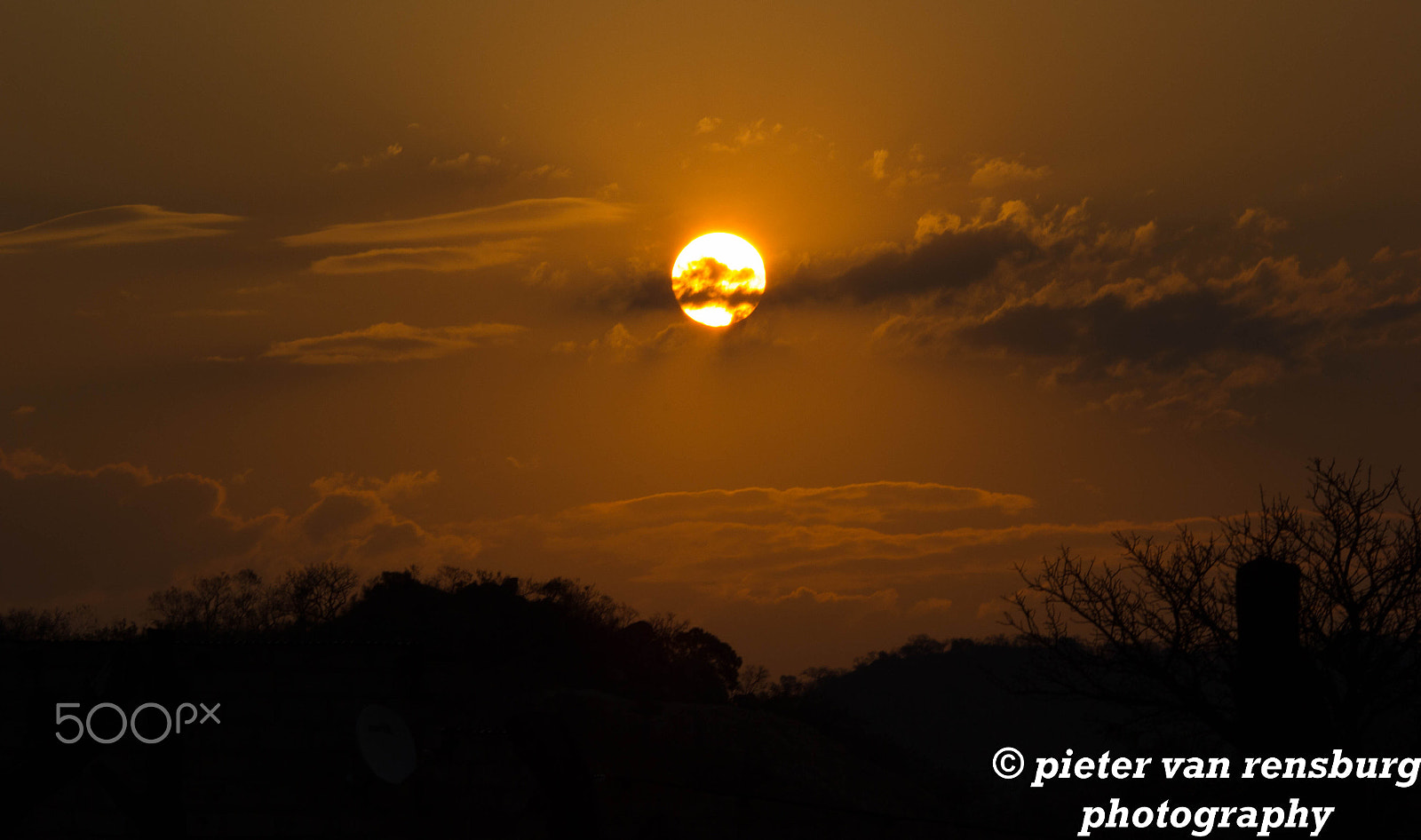 Sigma 150-500mm F5-6.3 DG OS HSM sample photo. Tmp photography