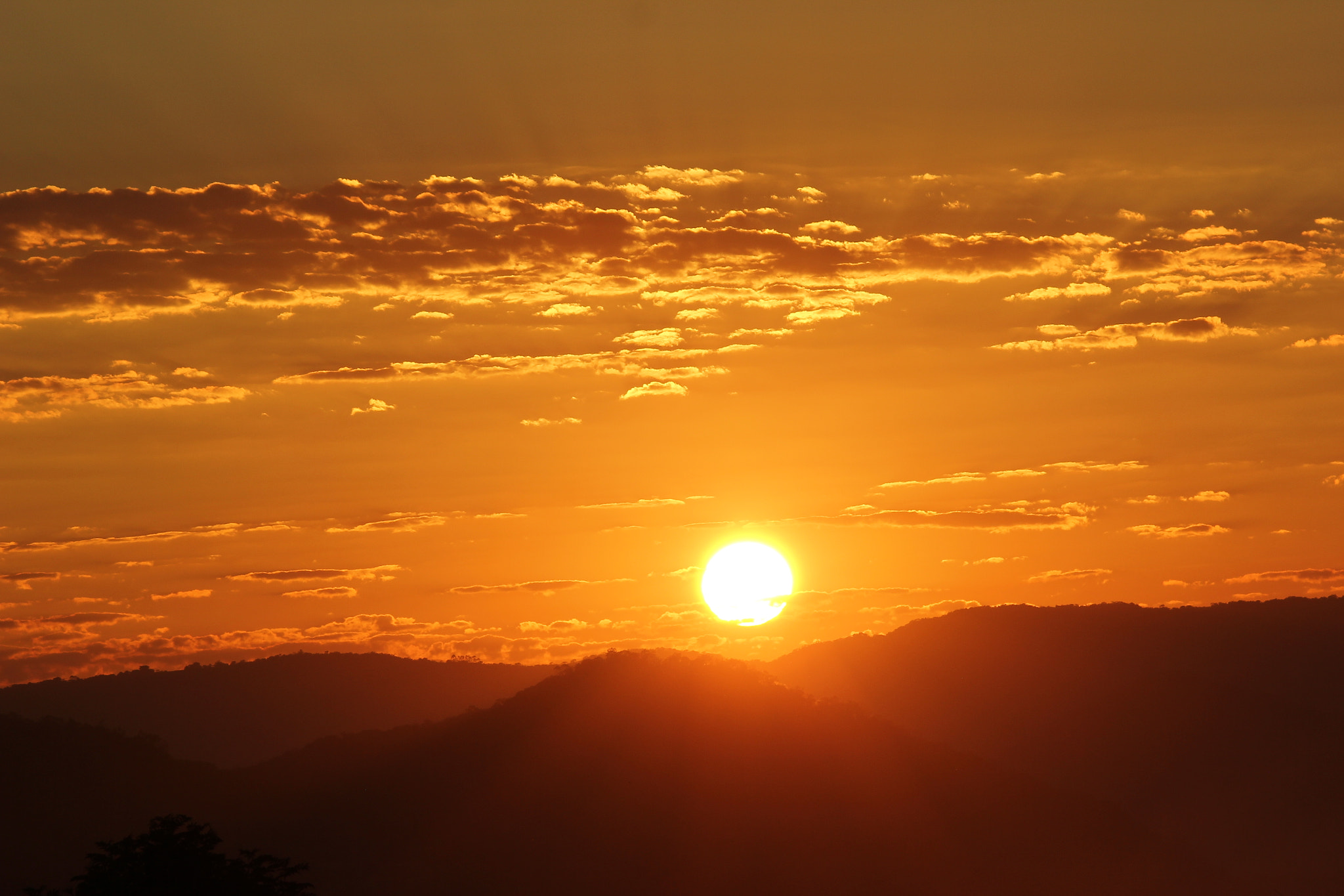 Sigma 150-500mm F5-6.3 DG OS HSM sample photo. Tmp photography
