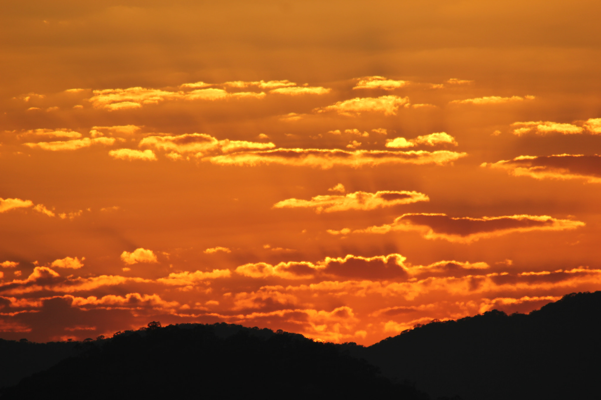 Sigma 150-500mm F5-6.3 DG OS HSM sample photo. Tmp img photography