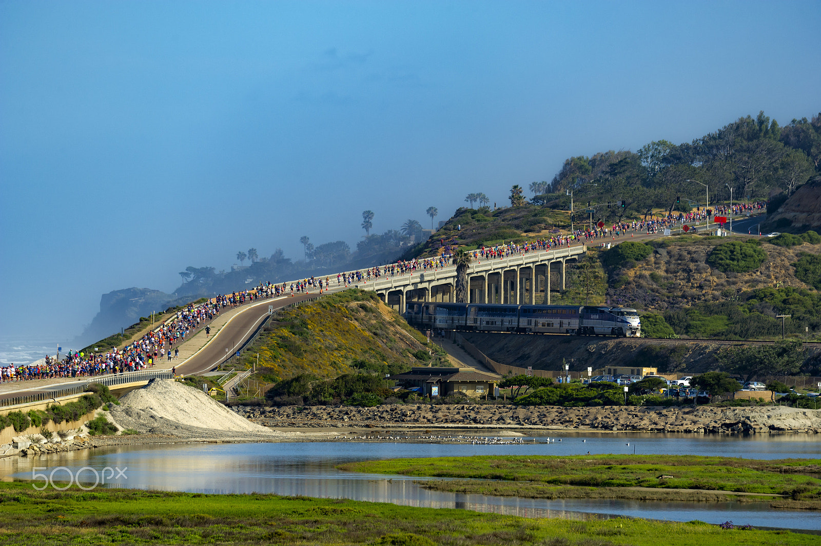 Nikon D3S sample photo. La jolla half marathon - 2016 photography