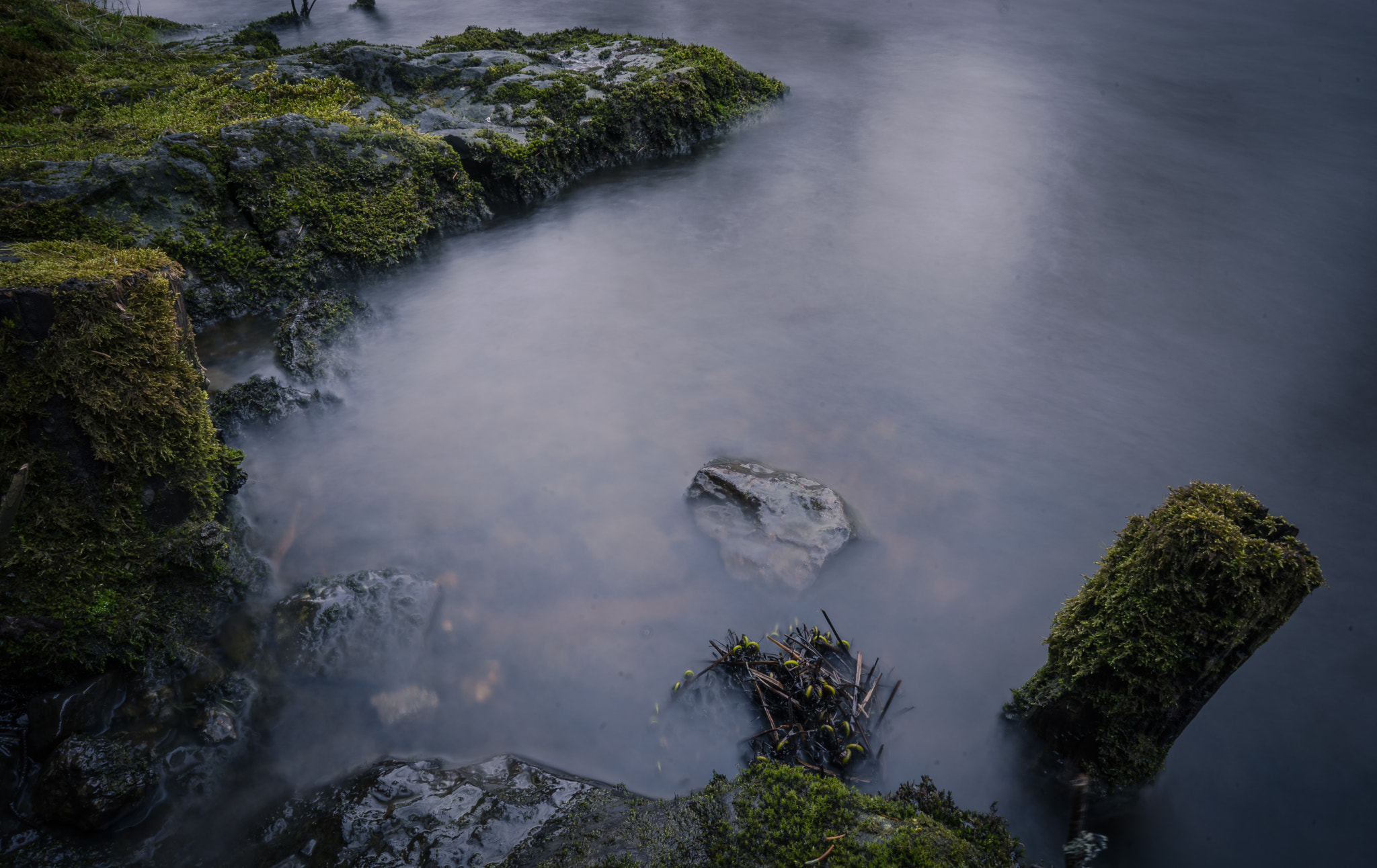 Sony a7 + ZEISS Batis 25mm F2 sample photo. Down by the river photography