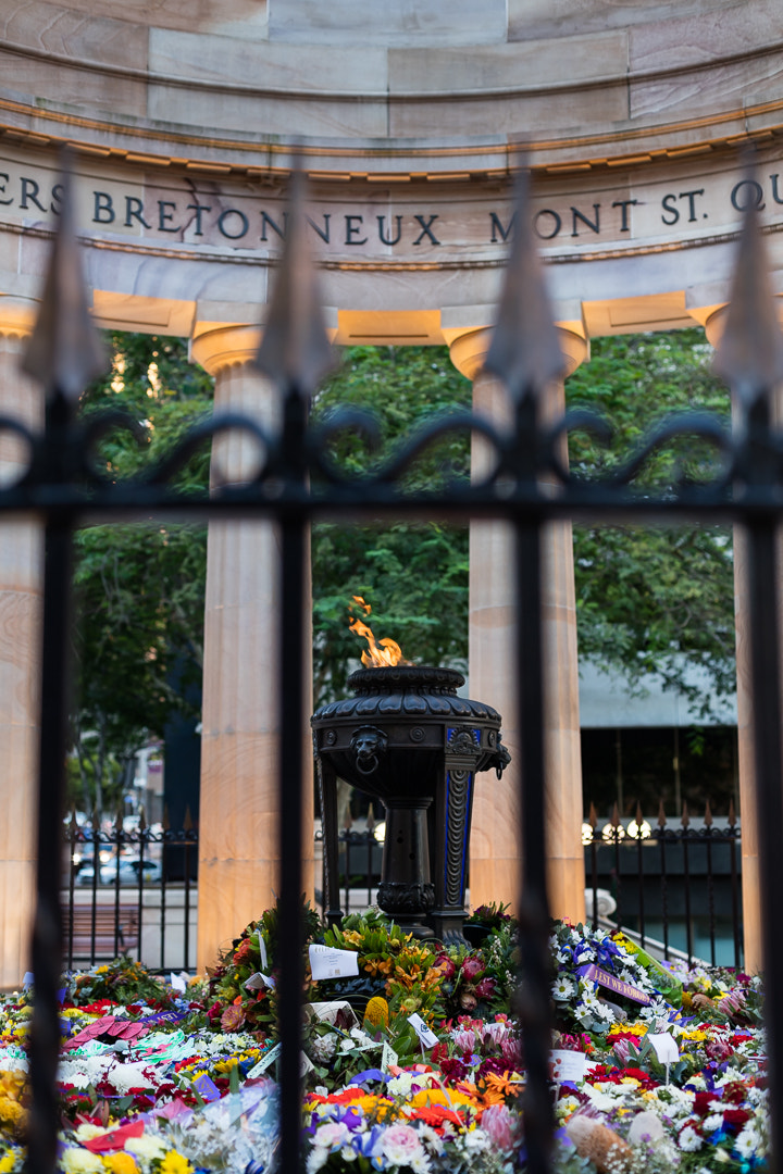 Canon EOS 5DS R + Canon EF 50mm F1.4 USM sample photo. Eternal flame fenced in photography