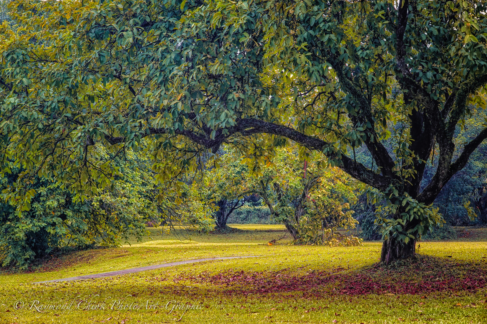 I Dreamt of Monet's Impressionism / 05828.jpg