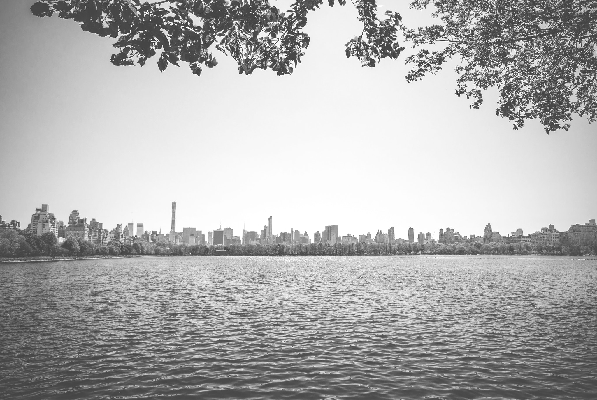 Sigma 10-20mm F4-5.6 EX DC HSM sample photo. A view from central park photography