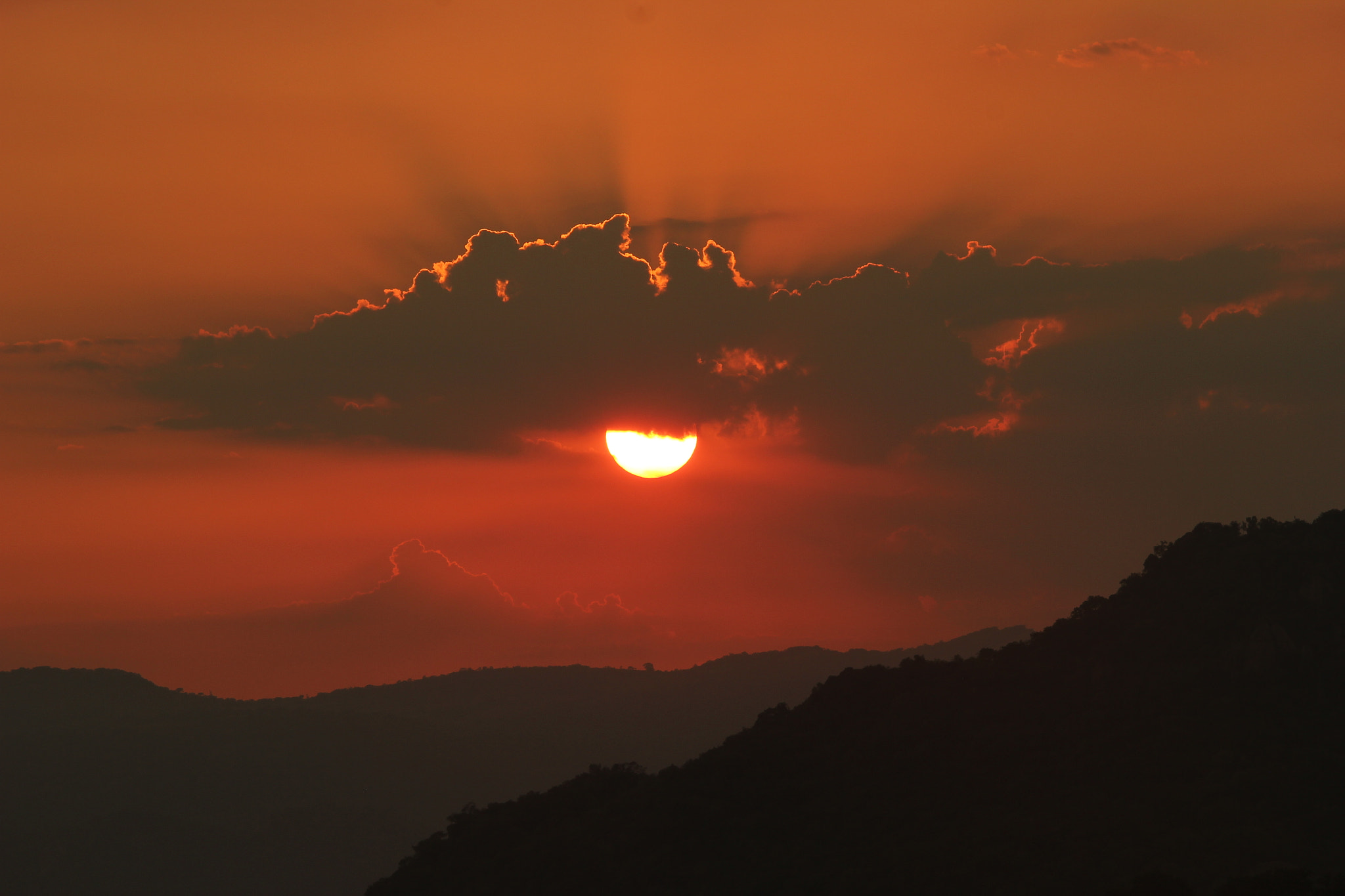 Sigma 150-500mm F5-6.3 DG OS HSM sample photo. Tmp photography