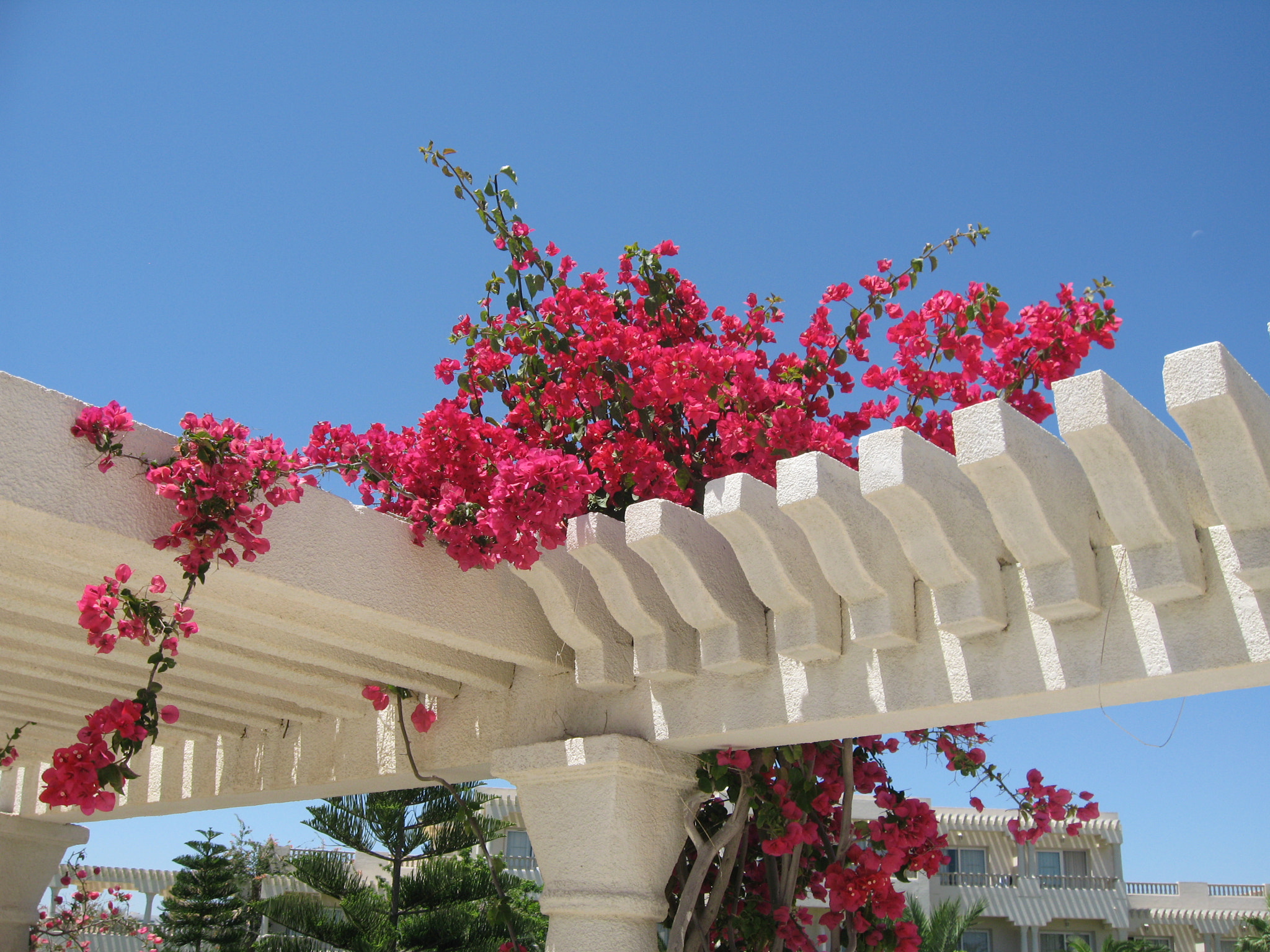 Canon DIGITAL IXUS 900TI sample photo. Tunisie hôtel le royal hammamet photography