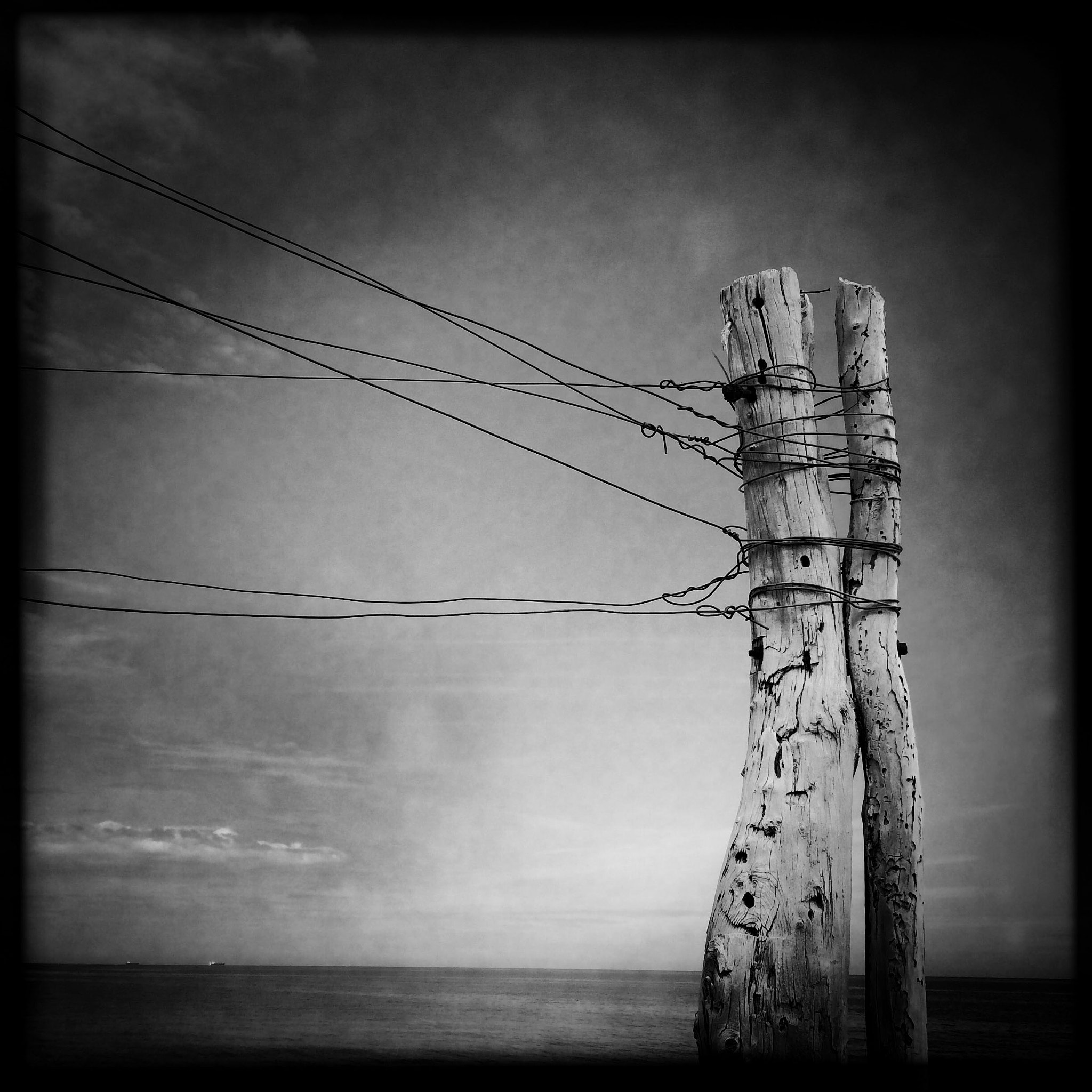 Hipstamatic 312 sample photo. Old poles photography