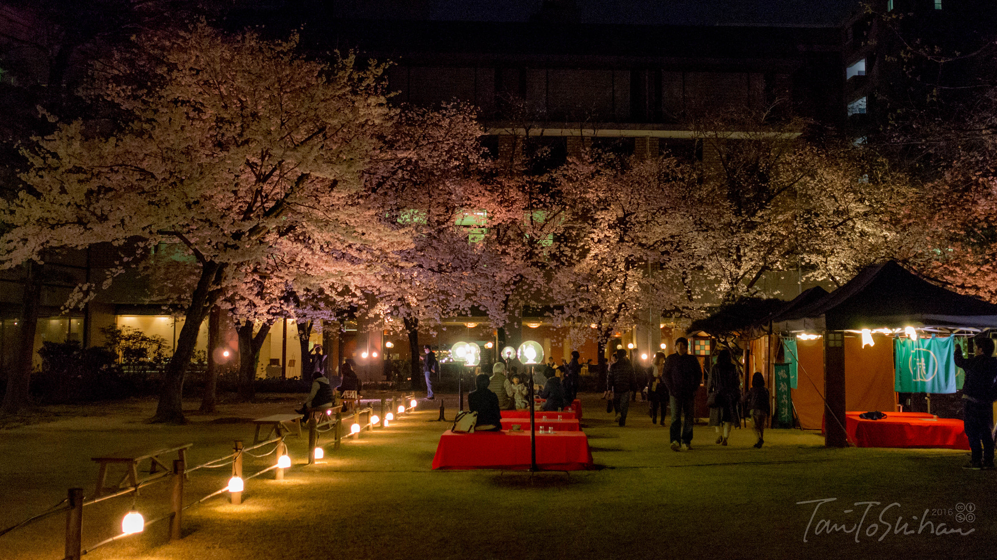 Olympus OM-D E-M5 + Sigma 19mm F2.8 EX DN sample photo. Shukkeien park hiroshima photography