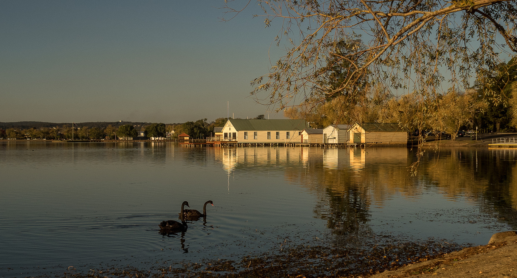 Olympus OM-D E-M1 sample photo. Autumn afternoon photography