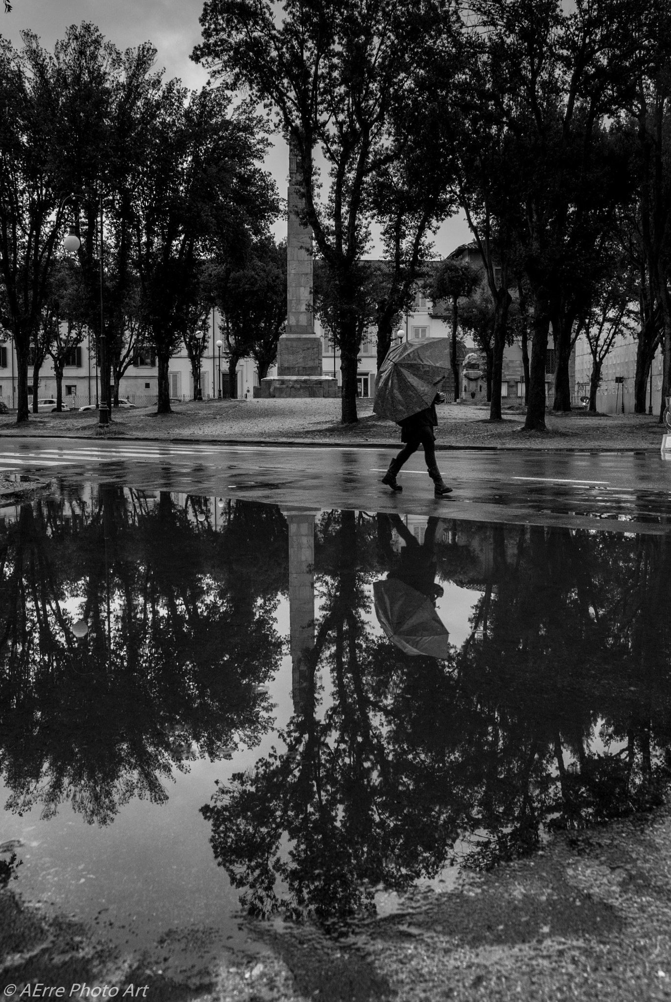 Sigma 17-70mm F2.8-4.5 DC Macro Asp. IF sample photo. Rainy day photography
