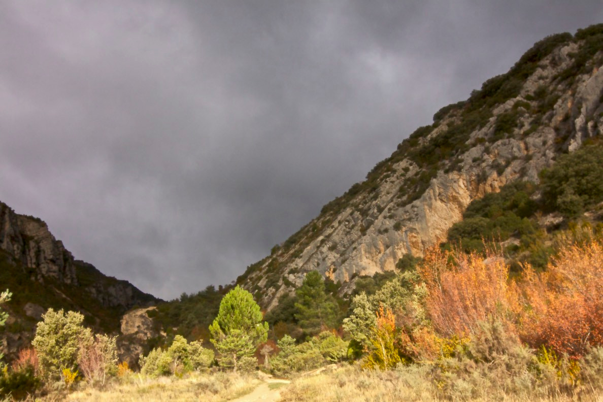 Tokina AT-X Pro 12-24mm F4 (IF) DX sample photo. Desfiladero río purón photography