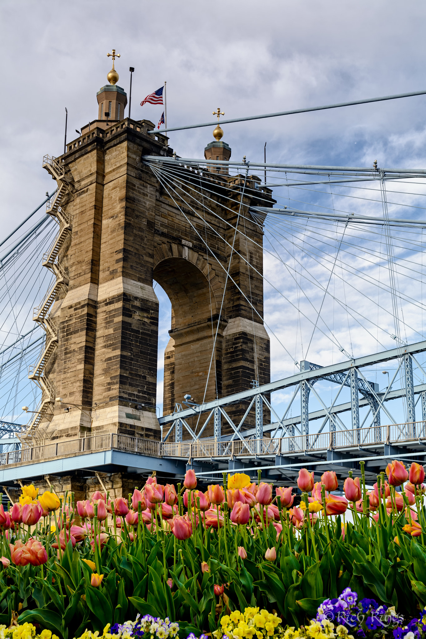 Sigma 17-70mm F2.8-4 DC Macro OS HSM | C sample photo. Roebling spring photography