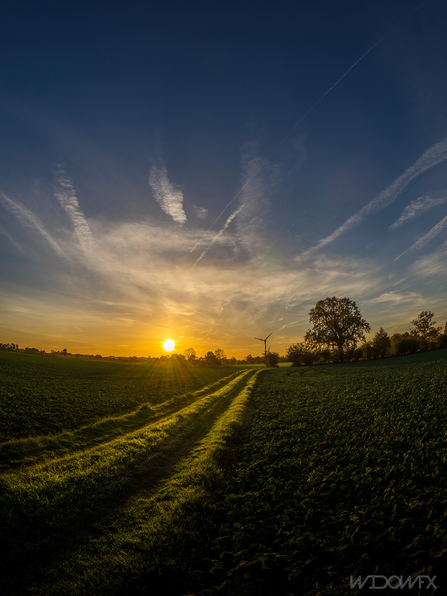 OLYMPUS M.8mm F1.8 sample photo. Sunset in felm photography