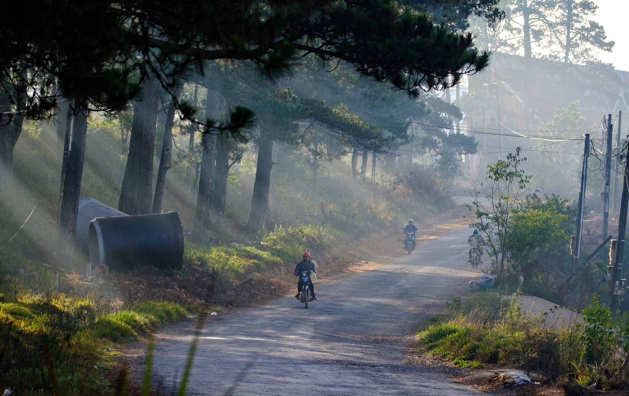 Fujifilm XF 100-400mm F4.5-5.6 R LM OIS WR sample photo. Early morning.jpg photography