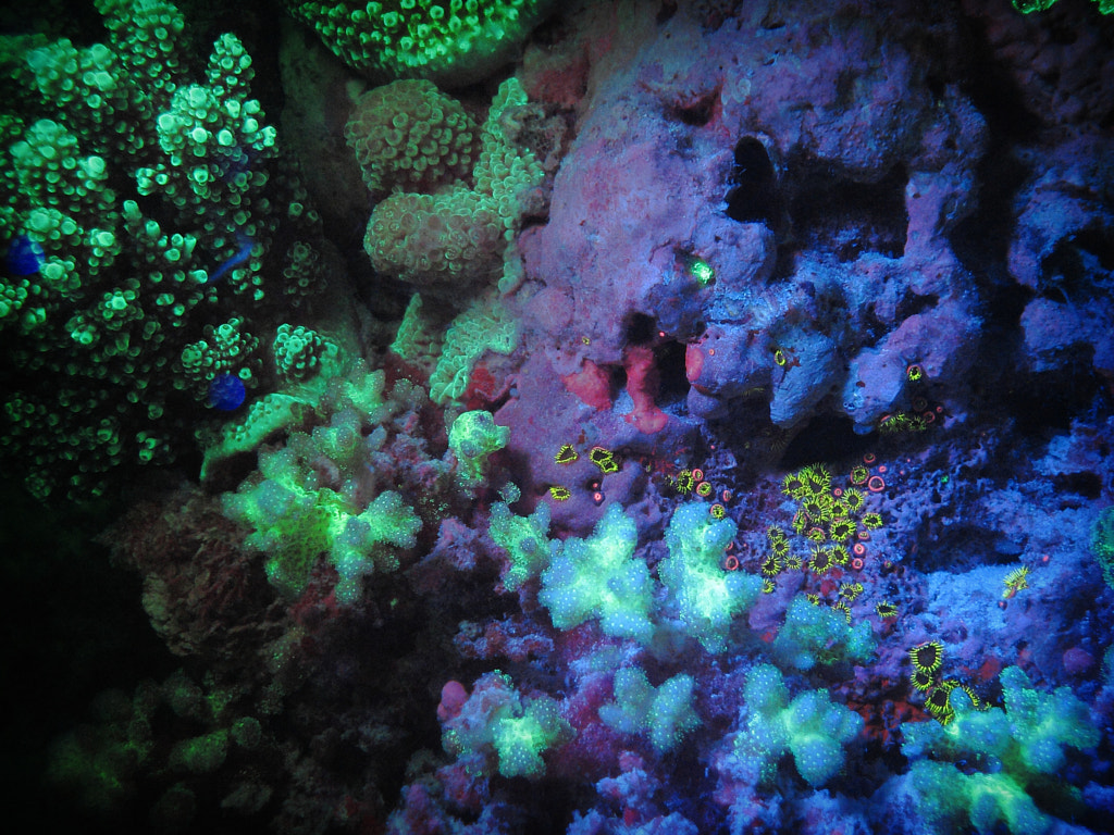 Another world by David Polonowski on 500px.com