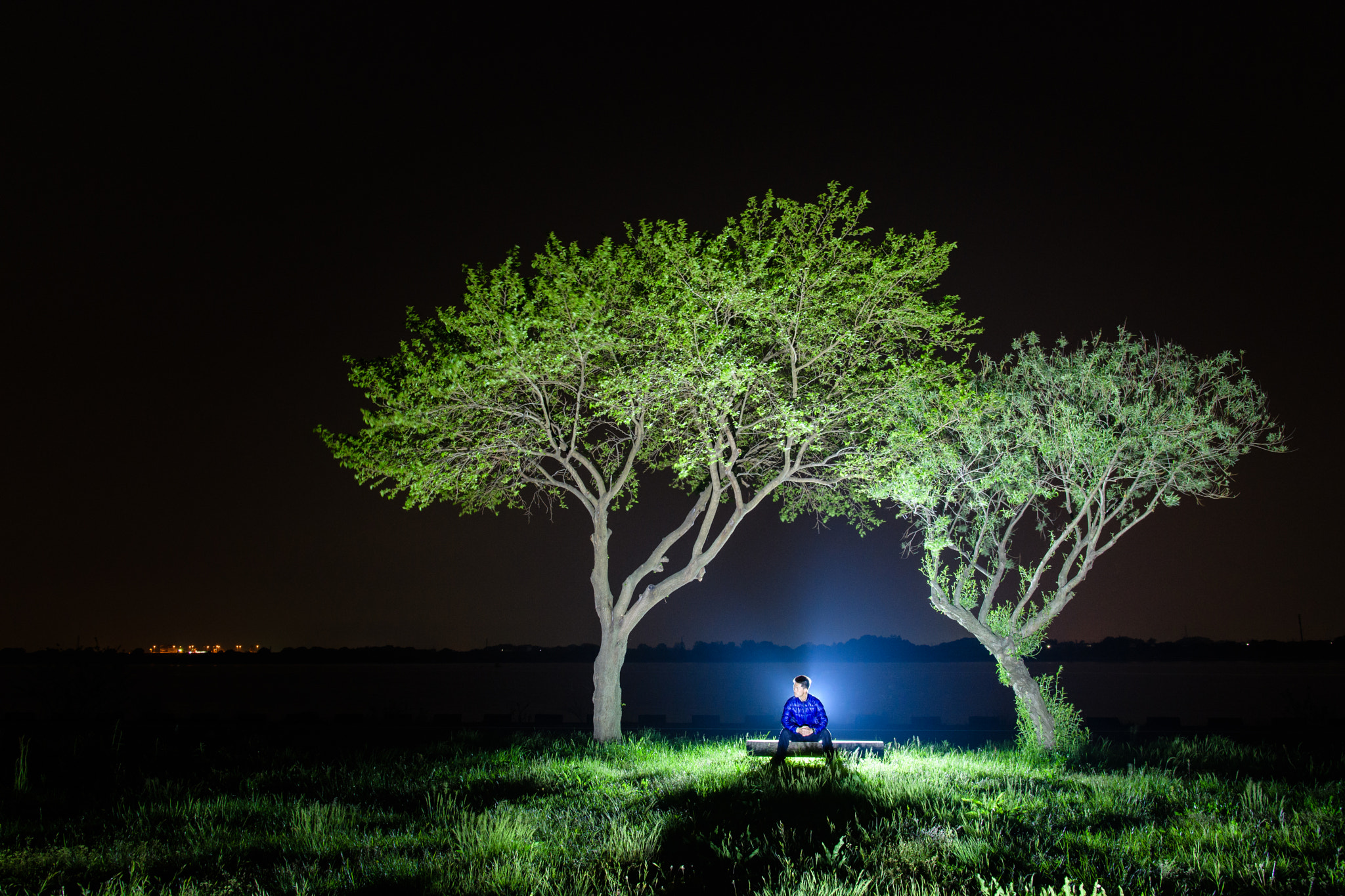 Nikon D5 sample photo. Night hunter photography