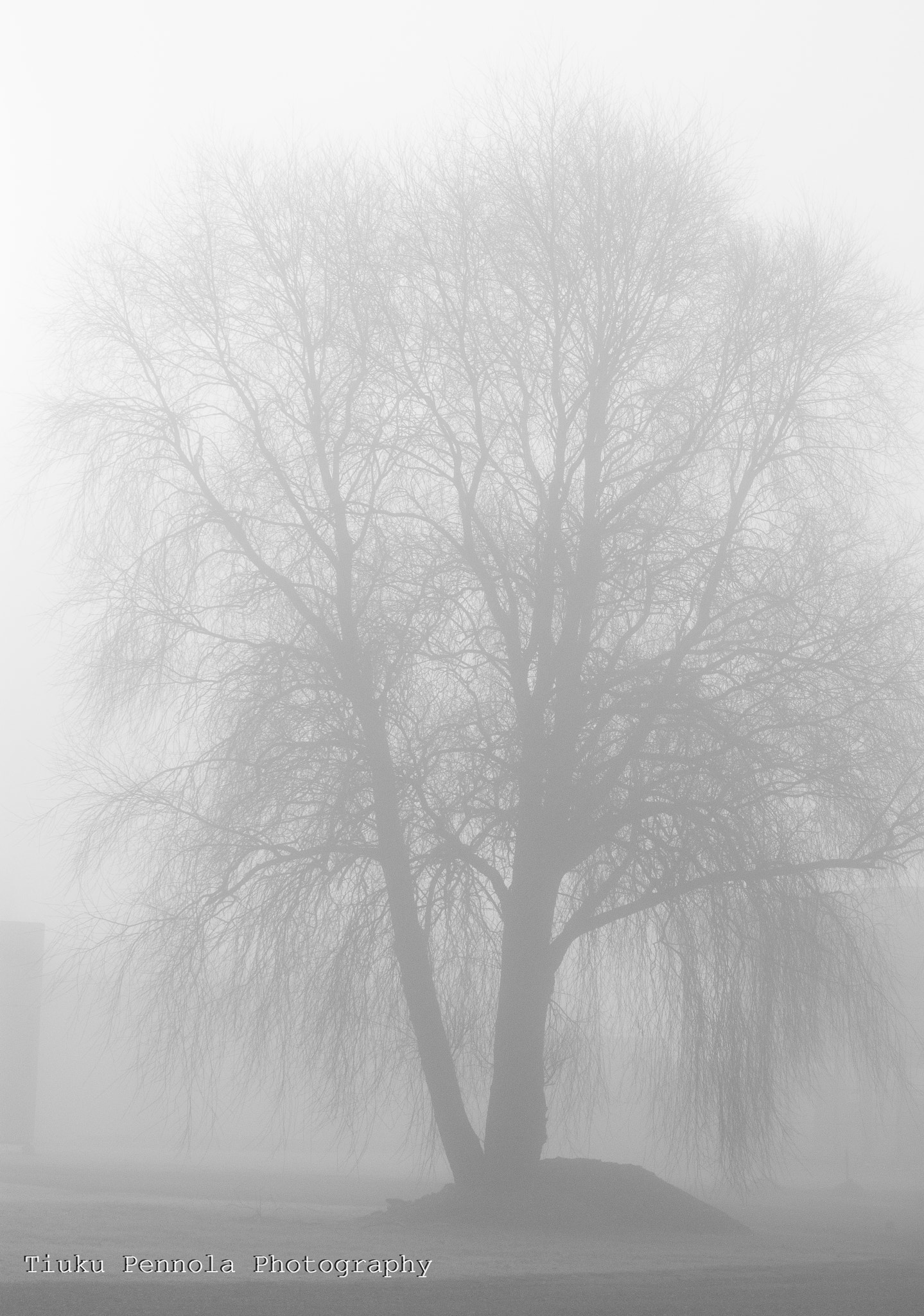 Nikon D7200 + Nikon AF-S DX Nikkor 55-200mm F4-5.6G ED sample photo. The fog in tallinn photography