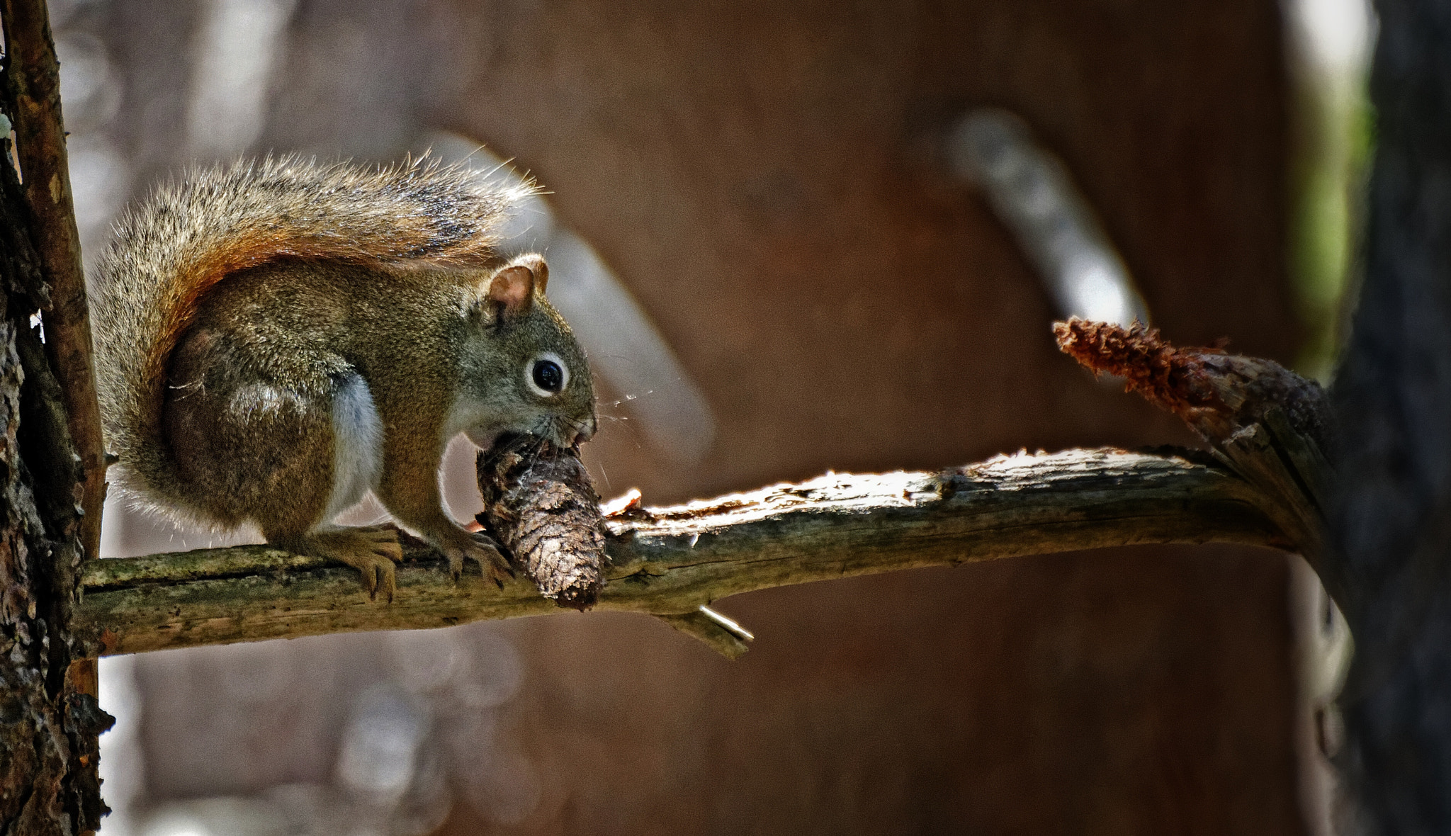 Nikon D7100 + Sigma 70-300mm F4-5.6 DG OS sample photo. Lunch. photography