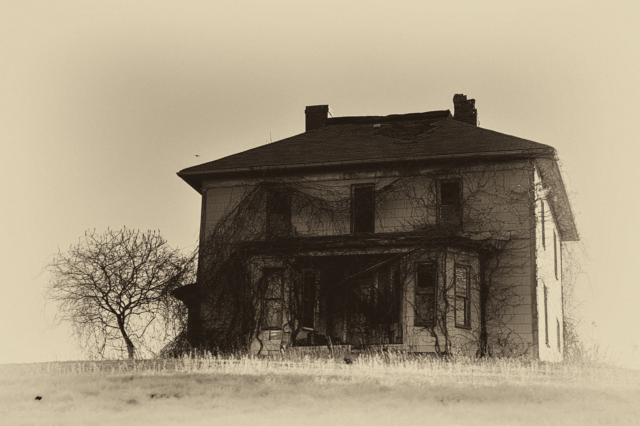AF Zoom-Nikkor 28-85mm f/3.5-4.5 sample photo. The soul of a house photography