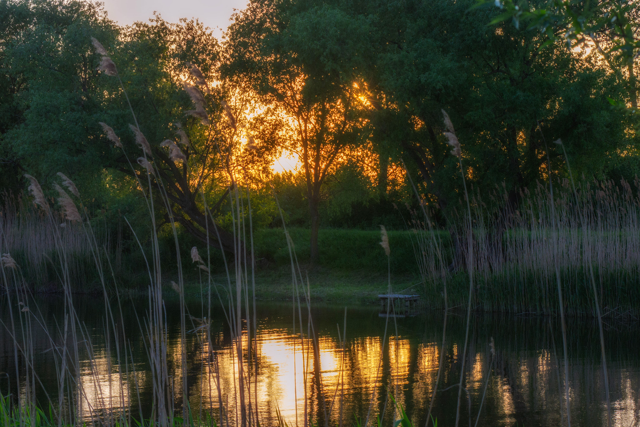 Nikon D3100 + AF Zoom-Nikkor 28-200mm f/3.5-5.6G IF-ED sample photo. Sunset on the river photography