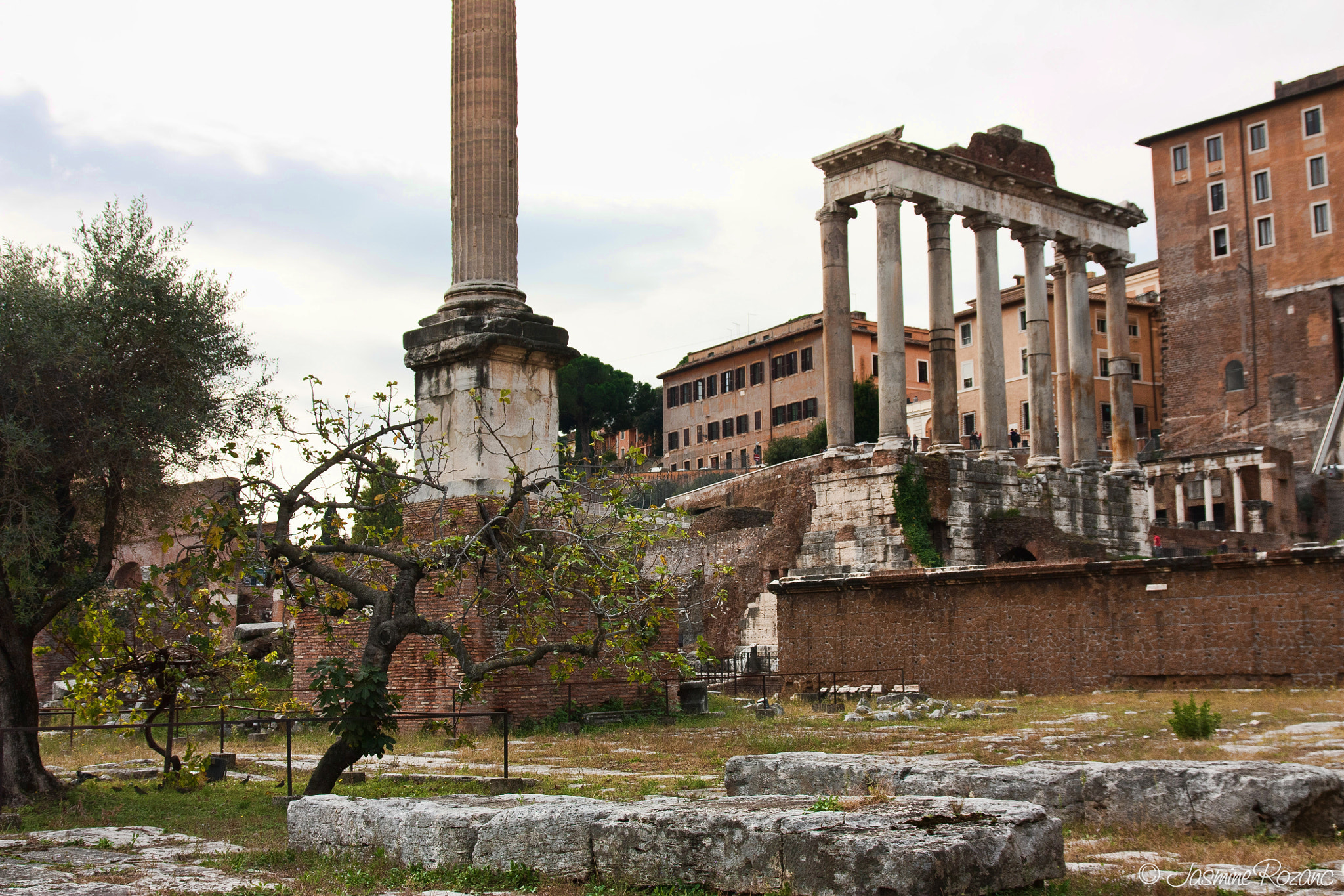Sigma 17-70mm F2.8-4 DC Macro OS HSM sample photo. Foro romano photography