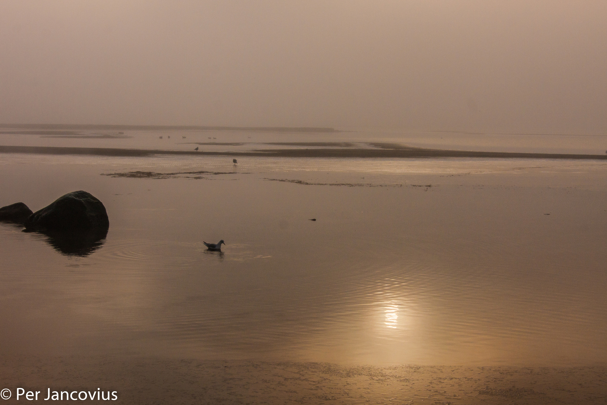 Canon EOS 40D sample photo. A foggy day at lomma beach photography