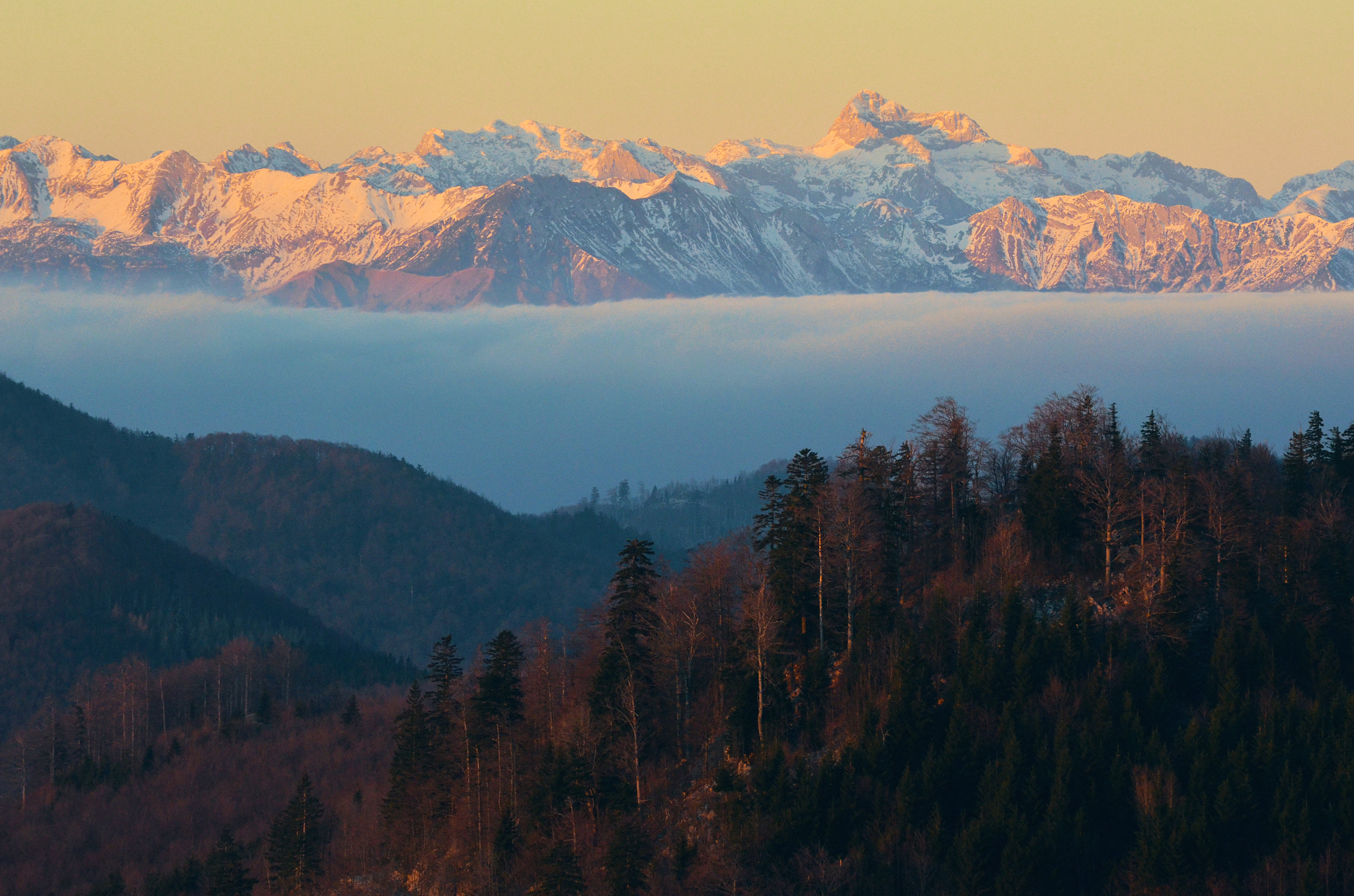 v2?sig=dc810a53dc4bf52a4bde7d1365eeef8787abf4d1d858ef6ddfd6cb56109c4fde