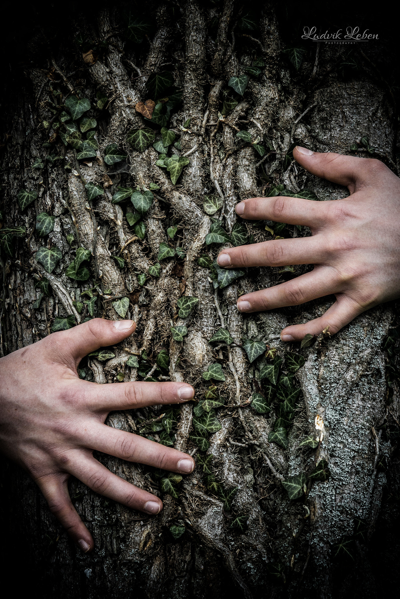 Sony a7 II + Sony 50mm F1.4 sample photo. Embrace nature - color photography