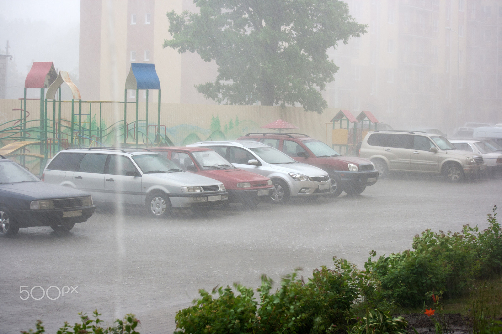 Sigma 50-200mm F4-5.6 DC OS HSM sample photo. Cars in the rain on a summer day photography