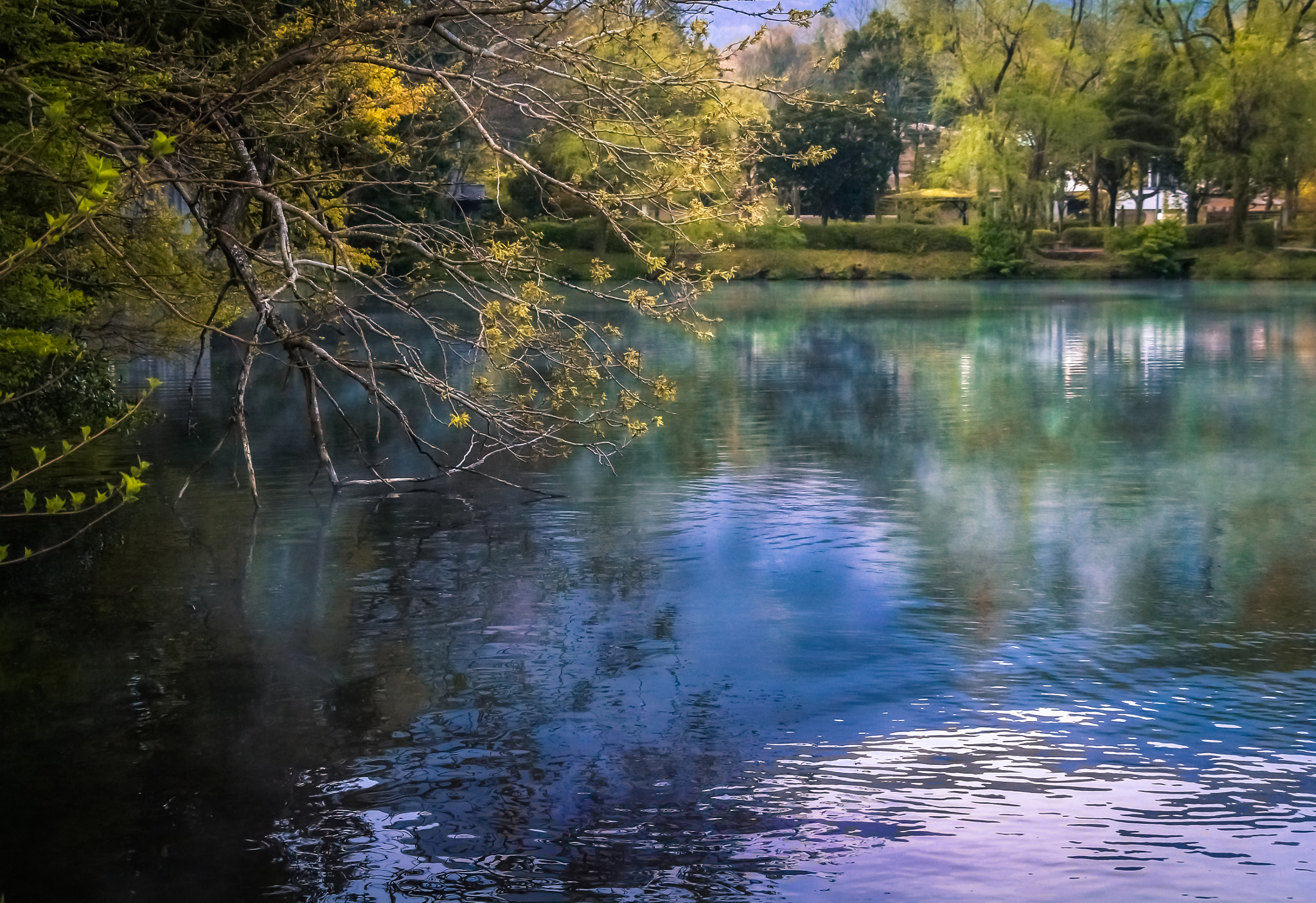 Canon EOS 650D (EOS Rebel T4i / EOS Kiss X6i) sample photo. Gold scale lake ー金鱗湖ー photography