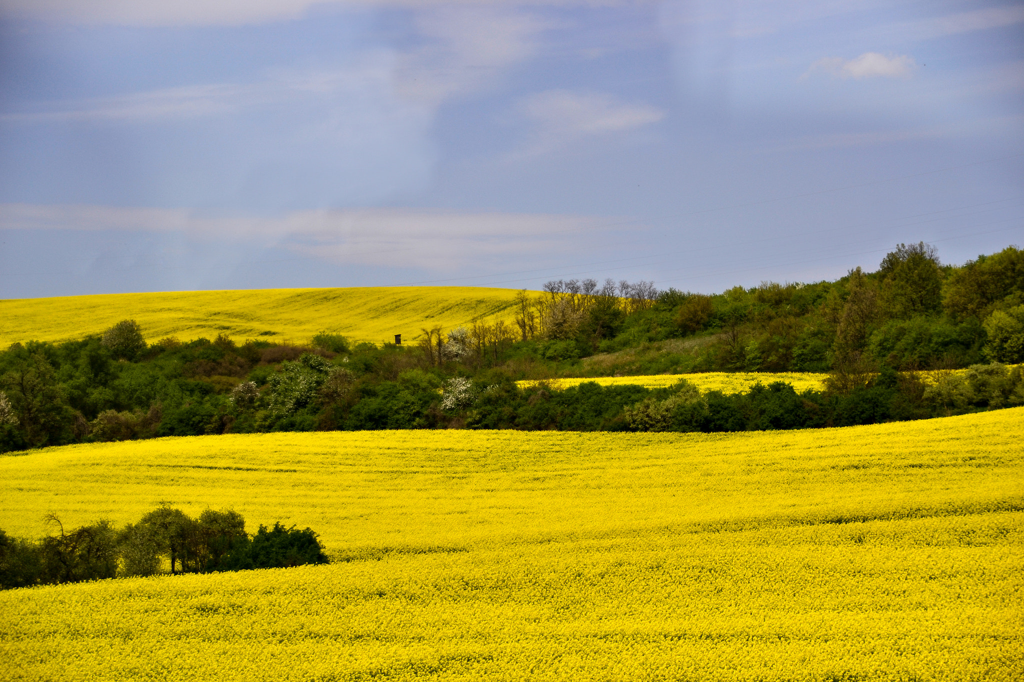 Nikon D3100 + Sigma 18-200mm F3.5-6.3 DC sample photo. Yellow spring photography