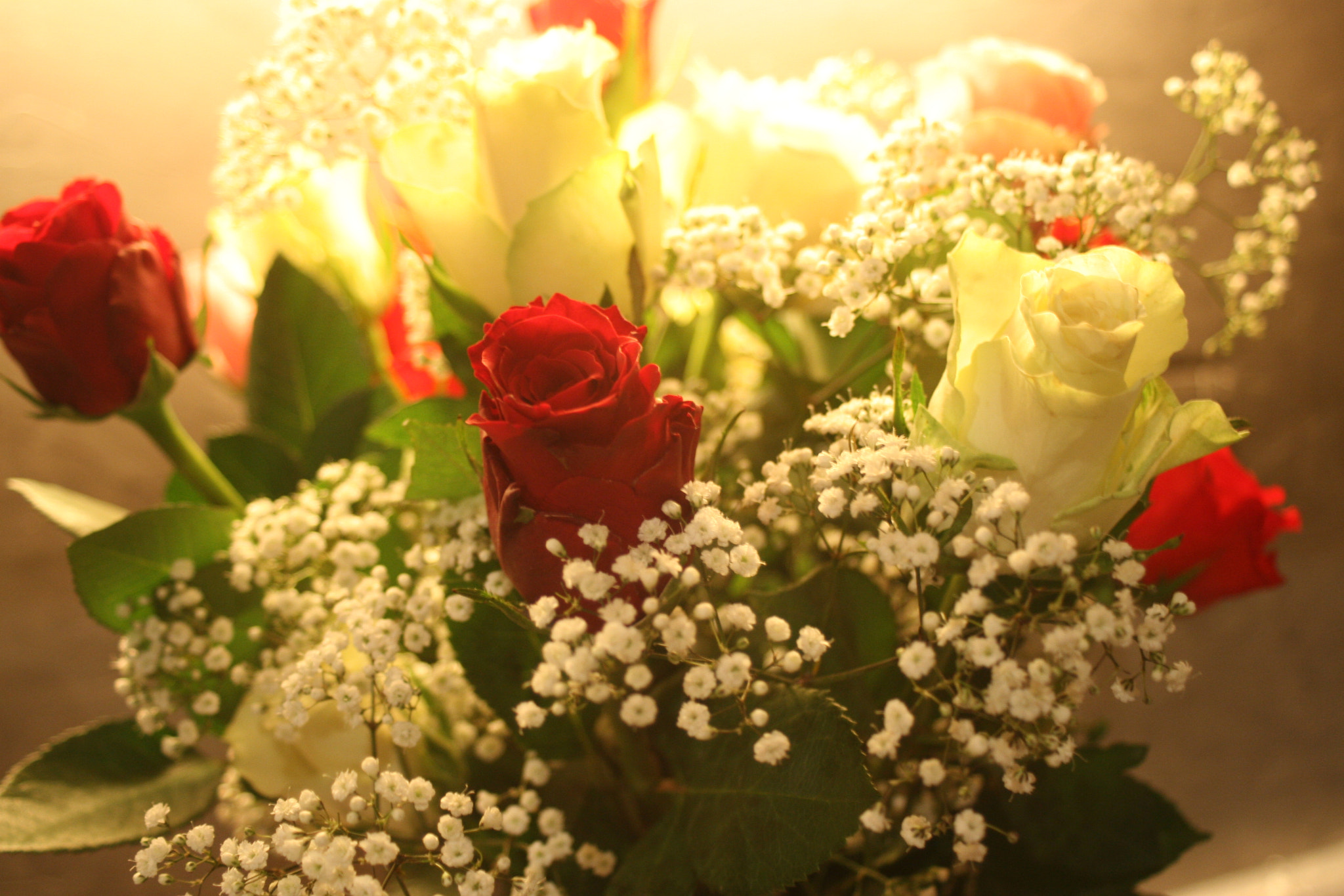 Canon EF28-80mm f/3.5-5.6 USM sample photo. Bouquet photography
