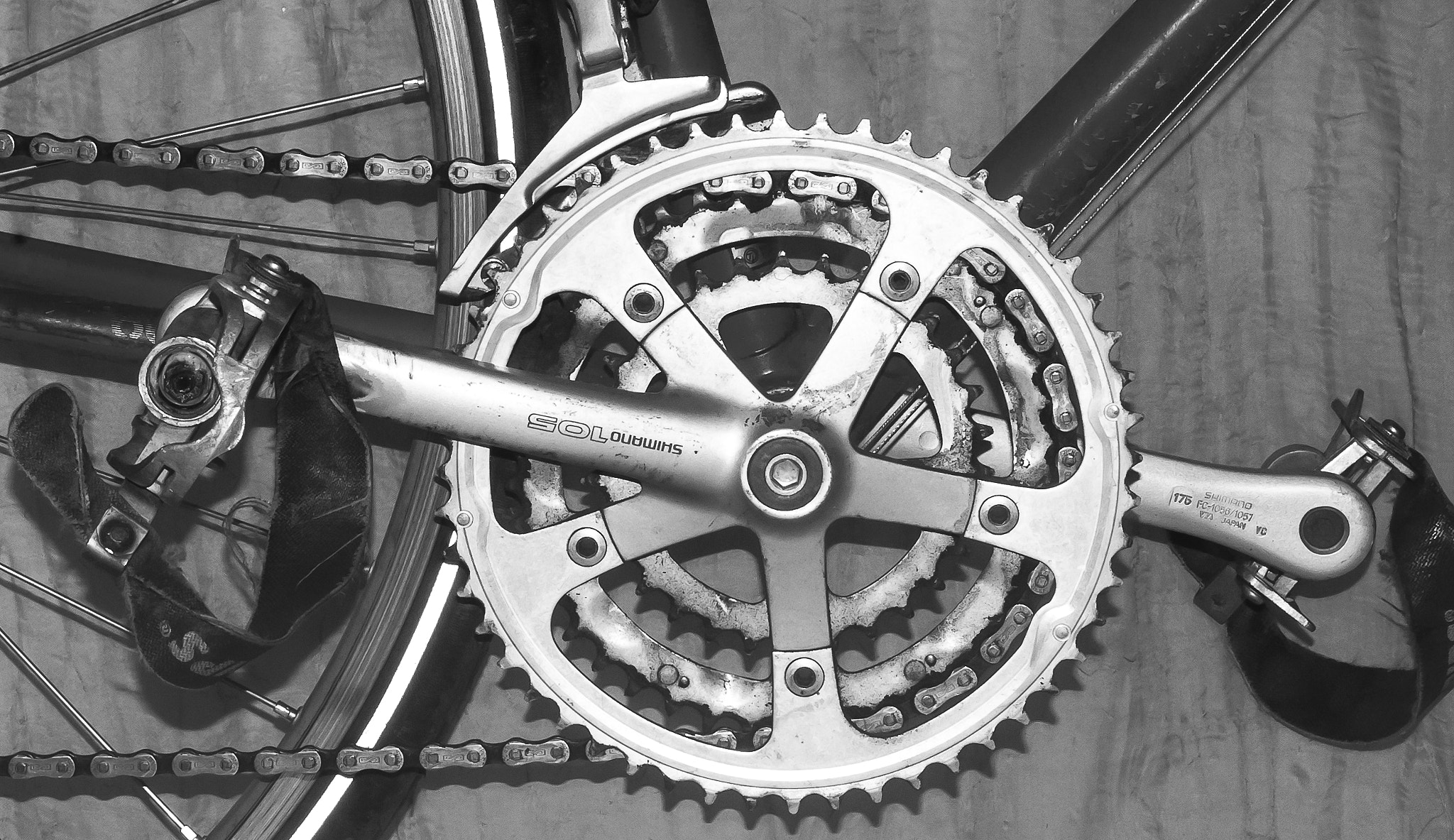 Nikon D80 sample photo. Cranks photography