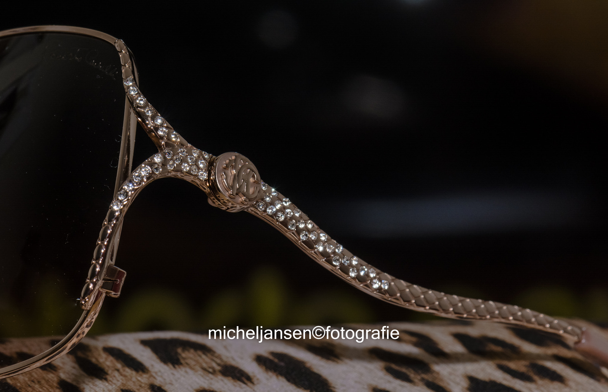 Nikon AF-S DX Micro-Nikkor 85mm F3.5G ED VR sample photo. Roberto cavalli  photography