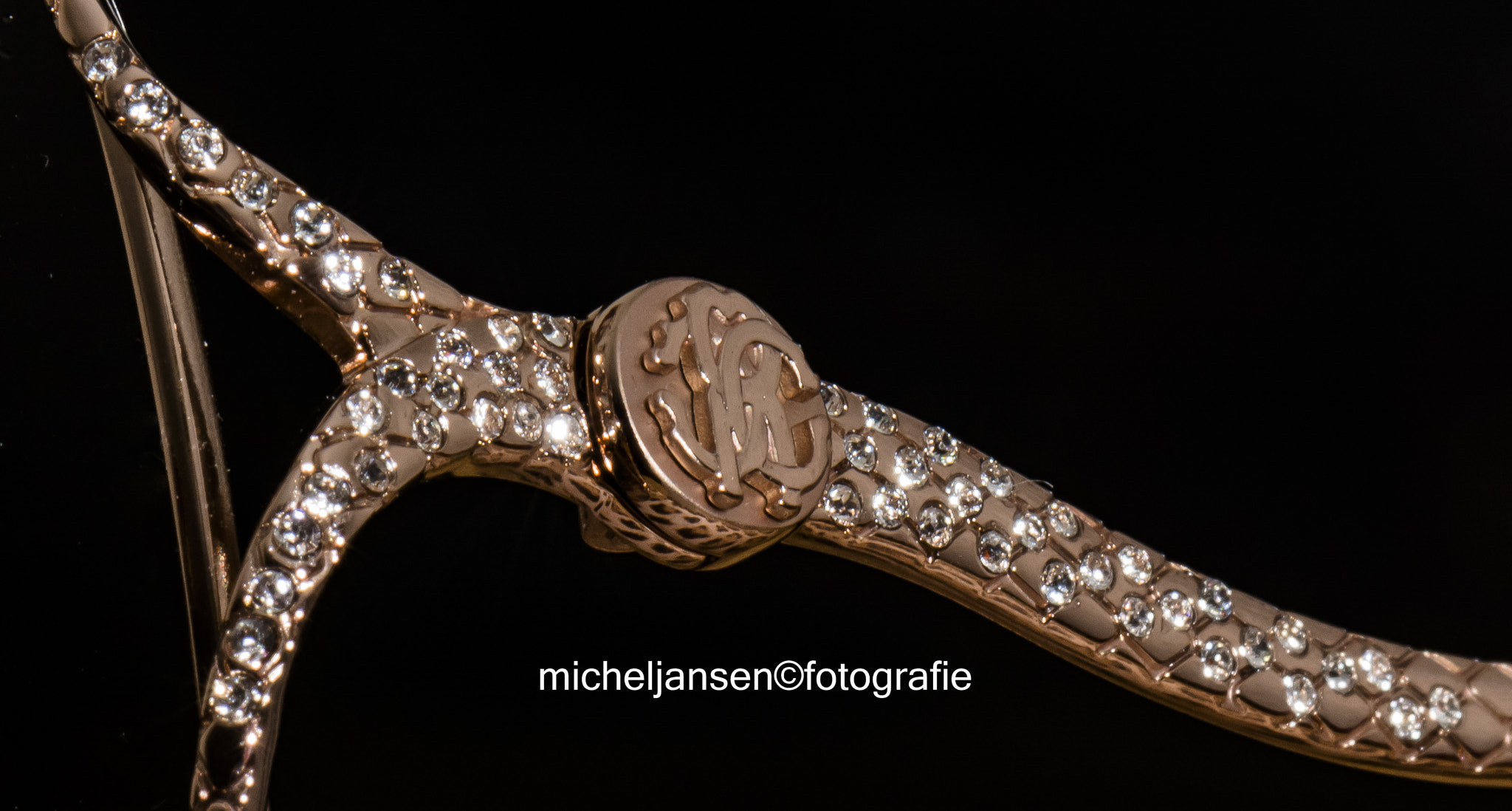 Nikon AF-S DX Micro-Nikkor 85mm F3.5G ED VR sample photo. Roberto cavalli photography