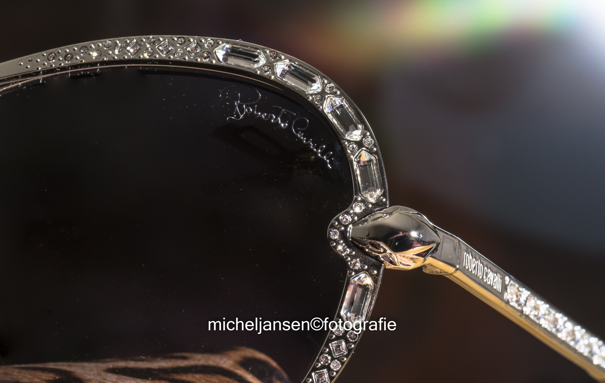 Nikon AF-S DX Micro-Nikkor 85mm F3.5G ED VR sample photo. Roberto cavalli photography